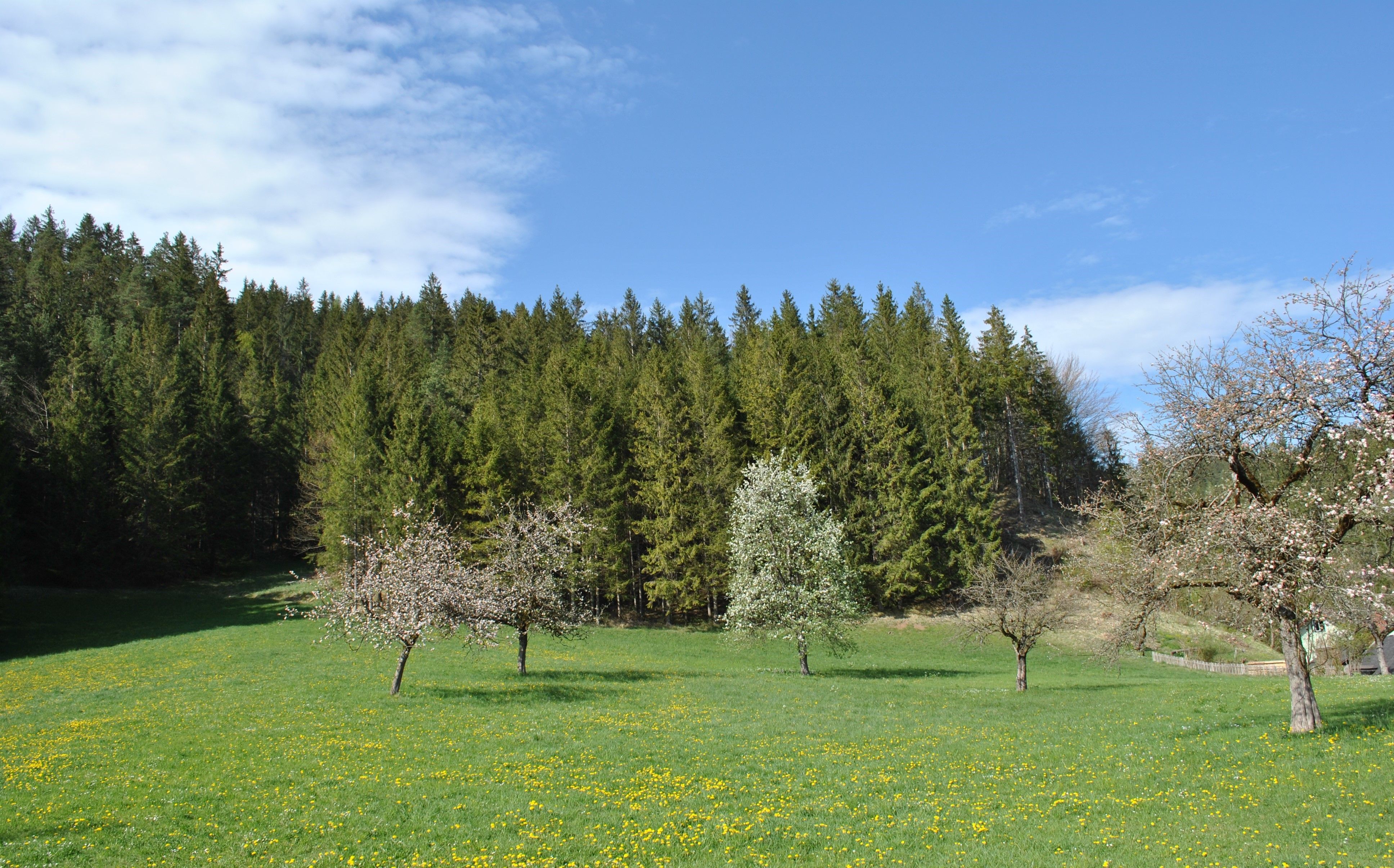 Landschaft hinter dem Haus