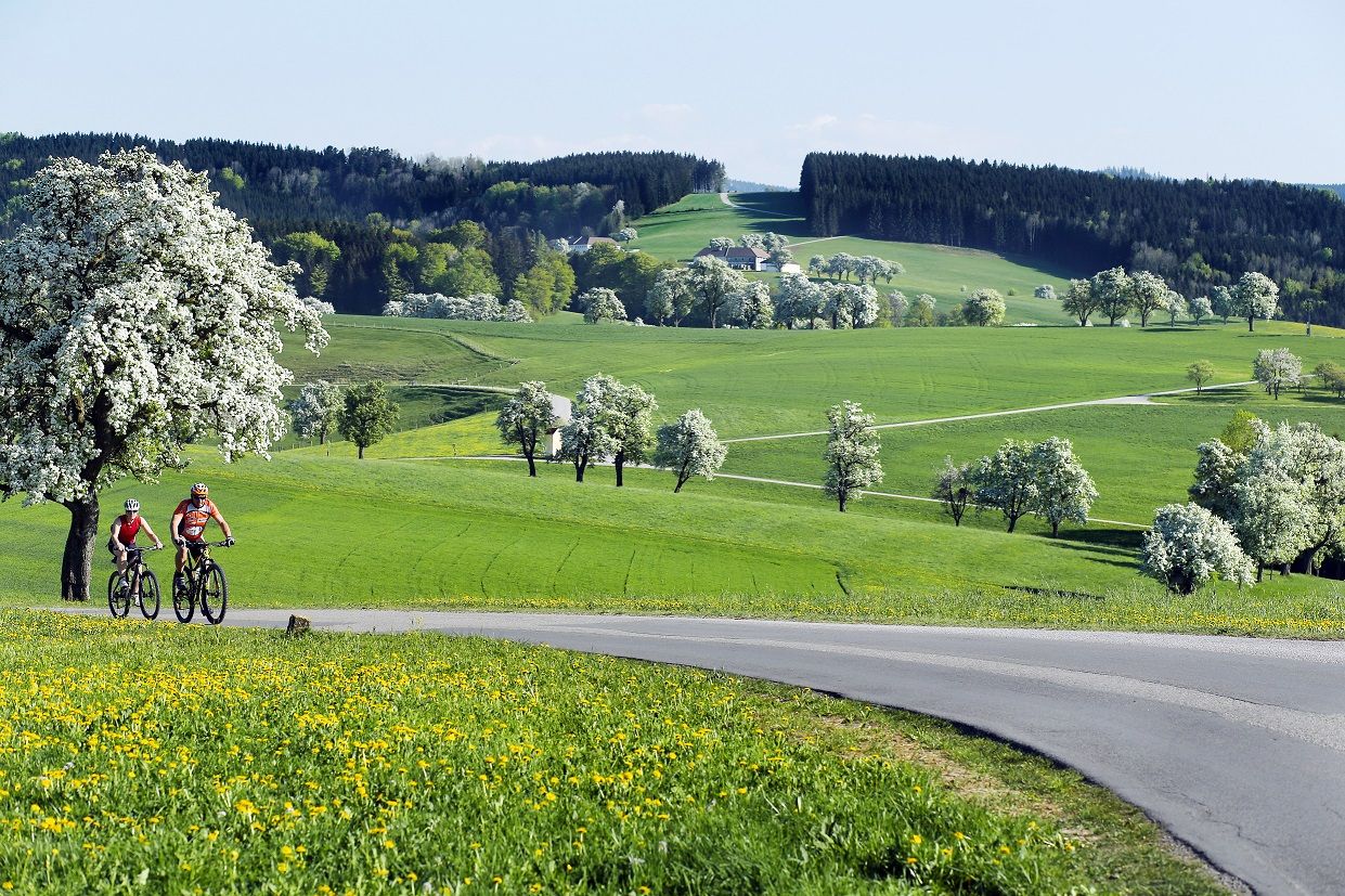 Sanfte Hügel an der Moststraße