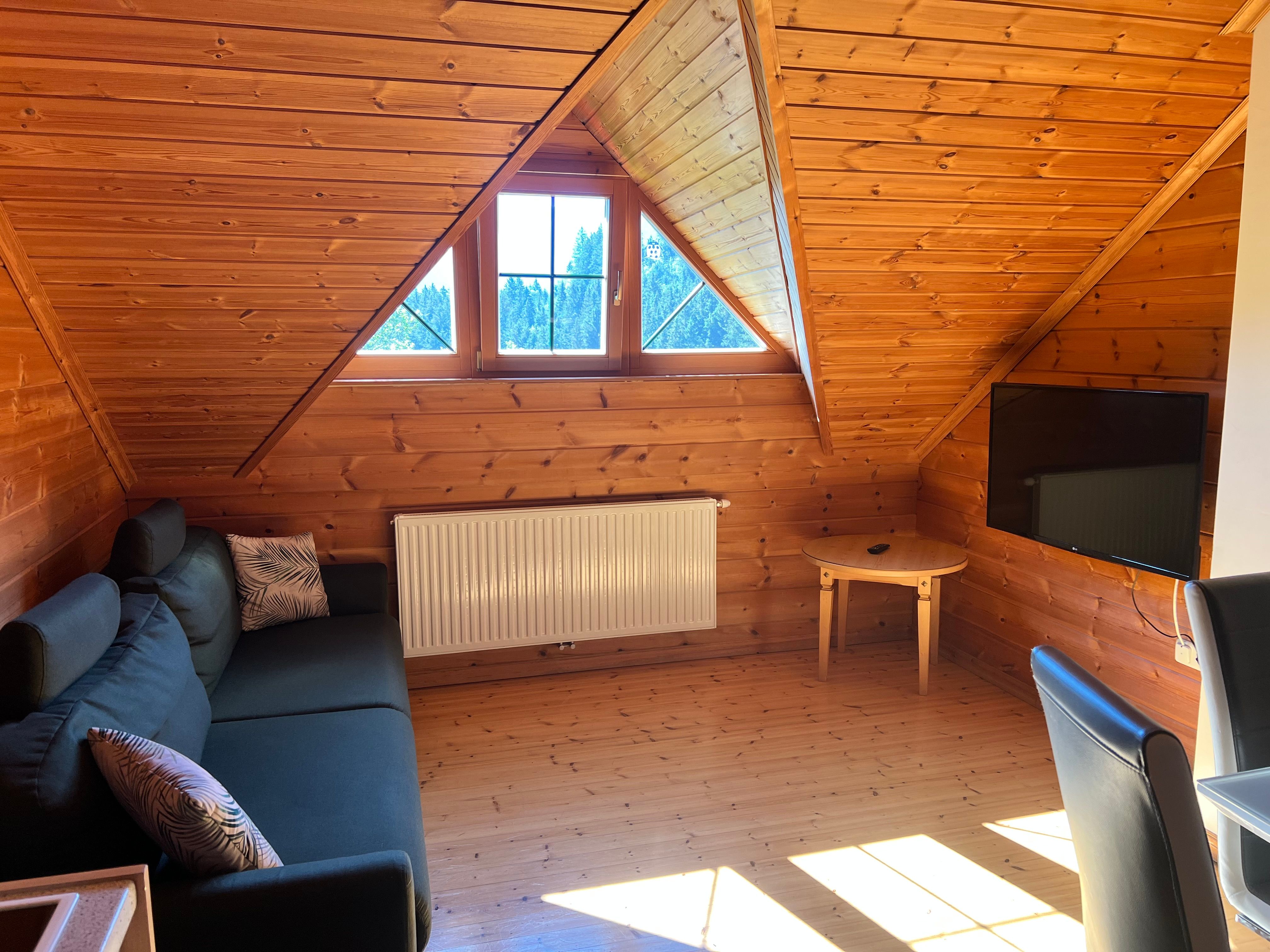 Gemütliches Wohnzimmer in einer Dachgeschosswohnung mit Holzverkleidung, Sofa, Fernseher und Dachfenster.