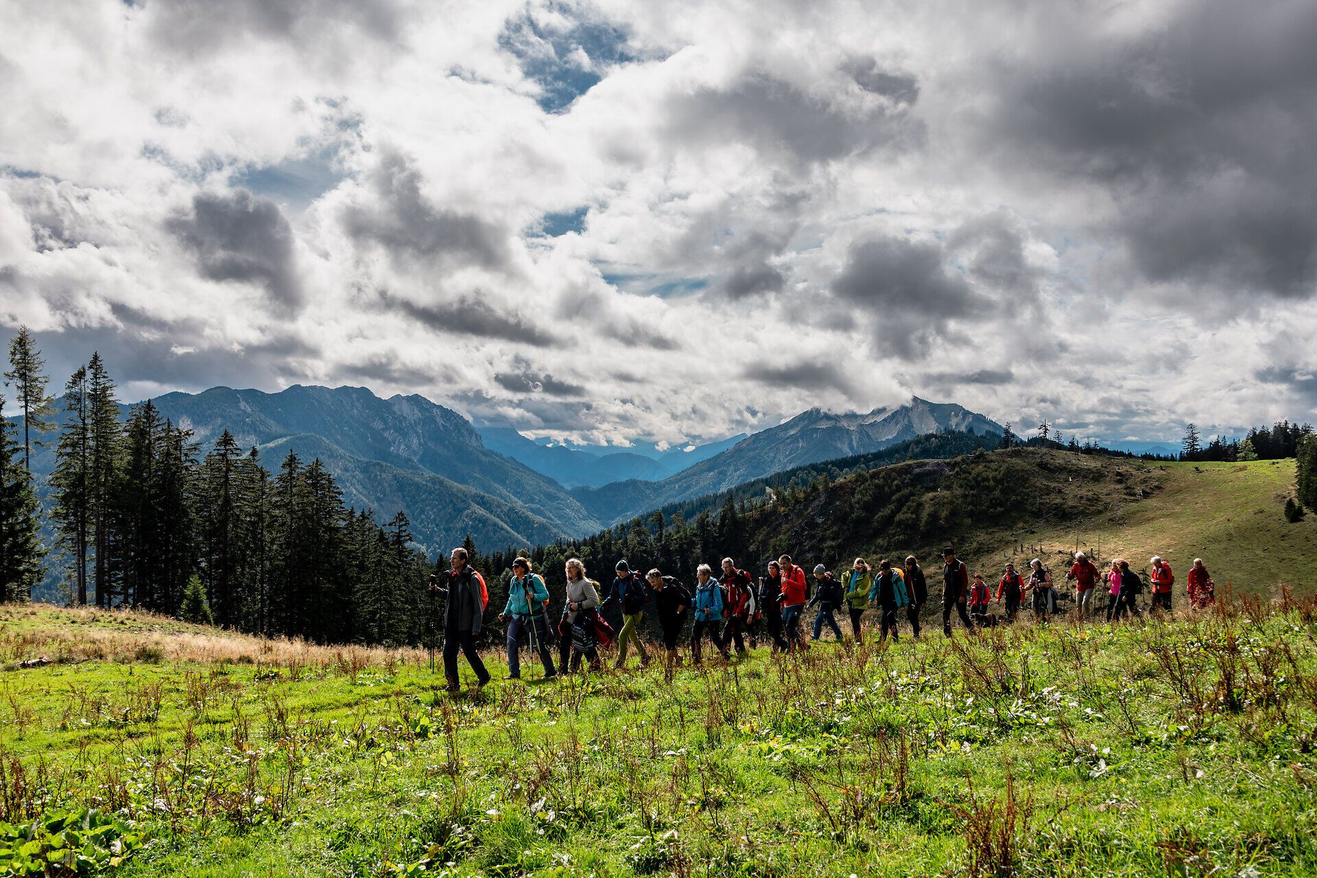 Eine Gruppe von Wanderern durchquert die sanften Hügel der Ybbstaler Alpen, umgeben von einer atemberaubenden Landschaft. Die frische Bergluft und das sanfte Licht der Sonne schaffen eine einladende Atmosphäre, die zum Verweilen einlädt. Hier, wo Natur und Musik aufeinandertreffen, wird jeder Schritt zu einem unvergesslichen Erlebnis.