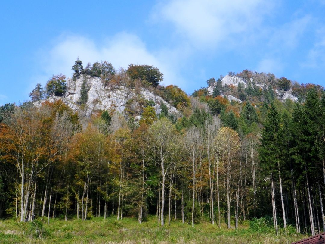 Ausblick auf den Prochenberg