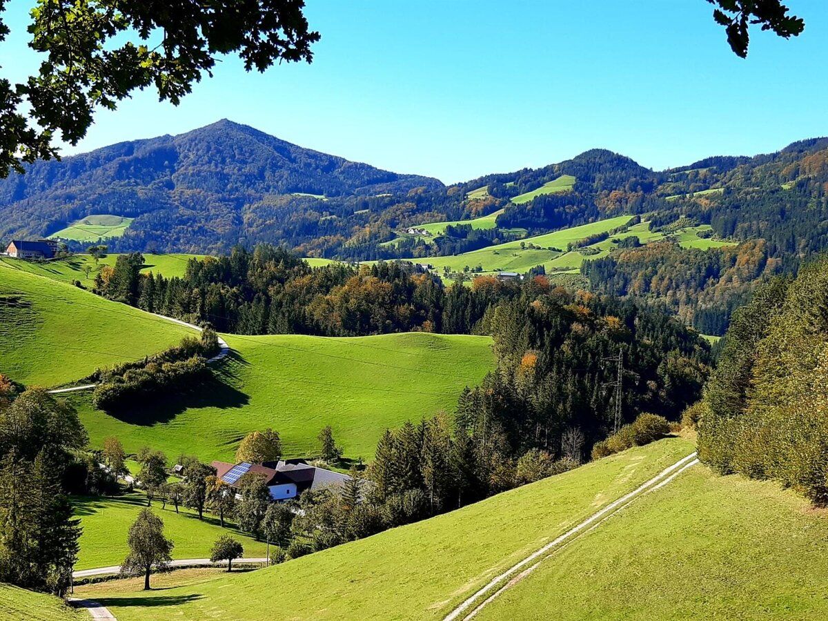 Urlaub am Bauernhof-Oberrehau