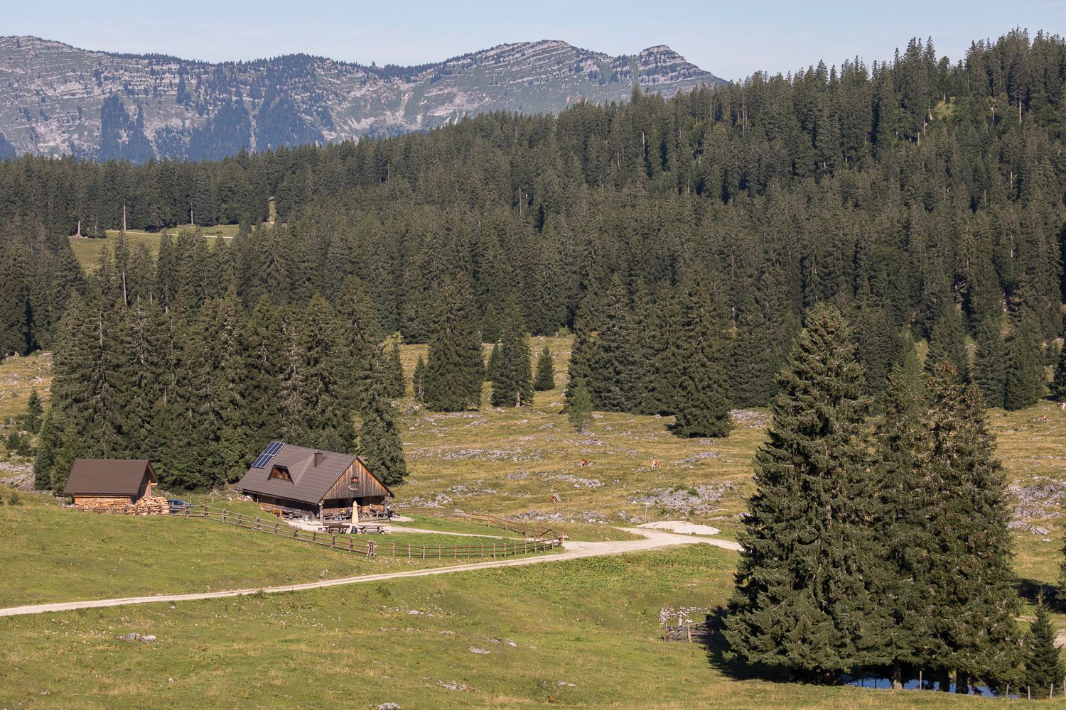 Feldwiesalm