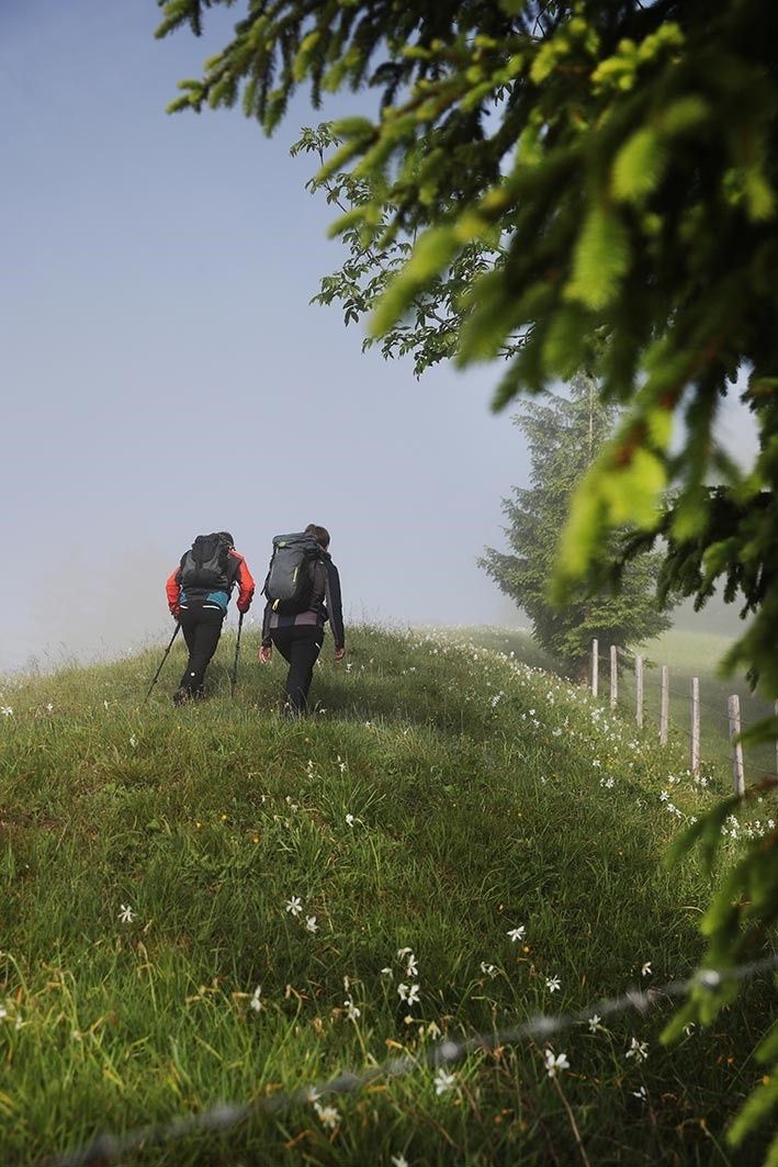 Opponitz Wandern