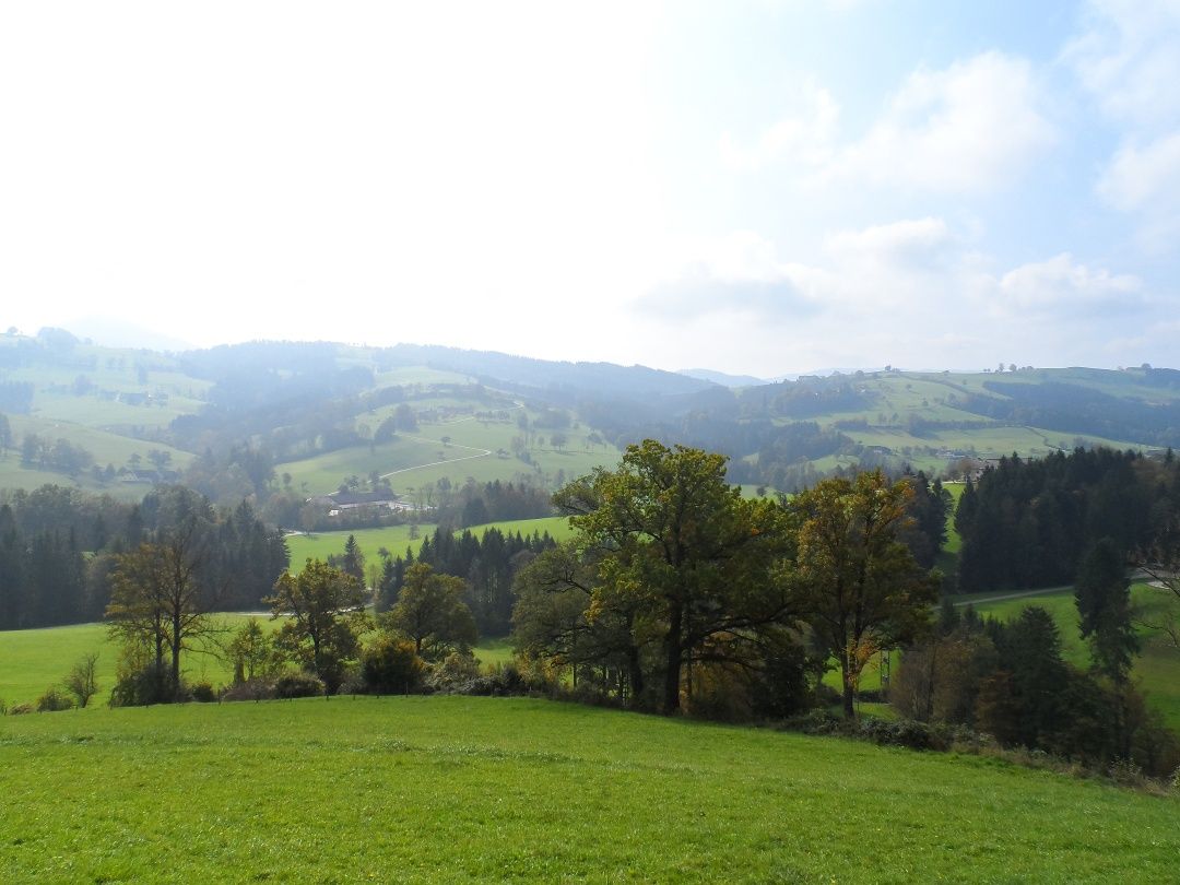 Herrlicher Ausblick auf die umliegende Landschaft