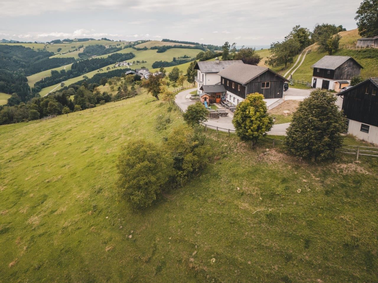 Mostheuriger Almhaus Hochkogel