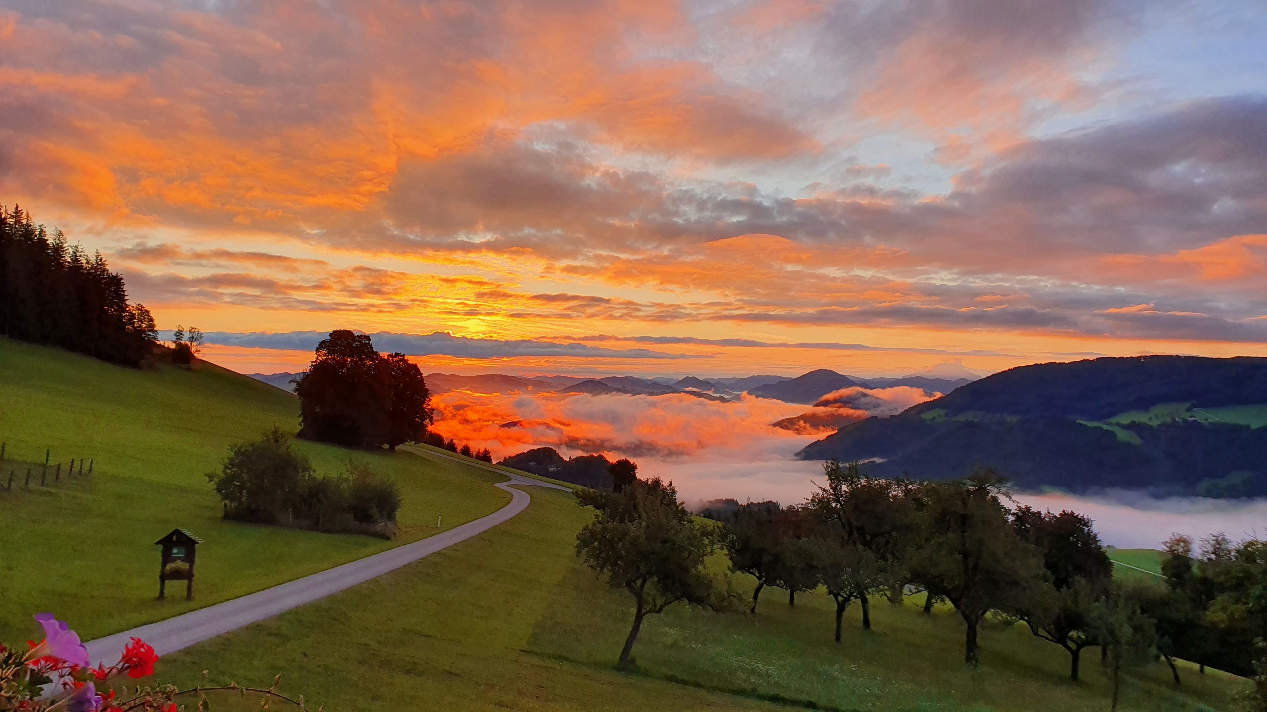 Morgenstimmung