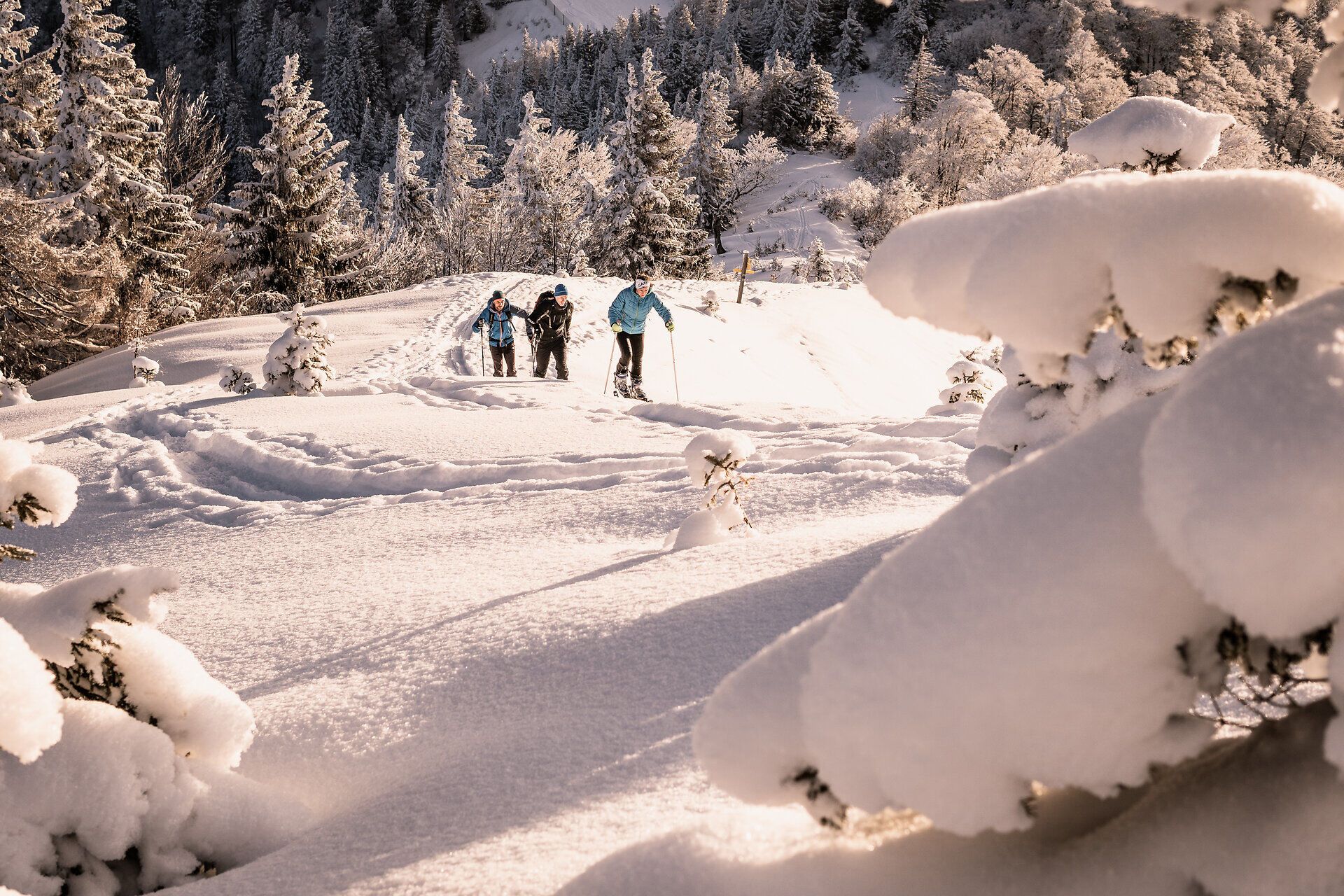 Kleine Skitouren am Kleinen Ötscher im Mostviertel bieten genussvolle Aufstiege und ruhige Abfahrten inmitten der winterlichen Ybbstaler Alpen. Die sanften Routen rund um den Kleiner Ötscher sind ideal für Einsteiger:innen und Genießer:innen, die abseits des Trubels Natur, Bewegung und alpine Stille erleben möchten.