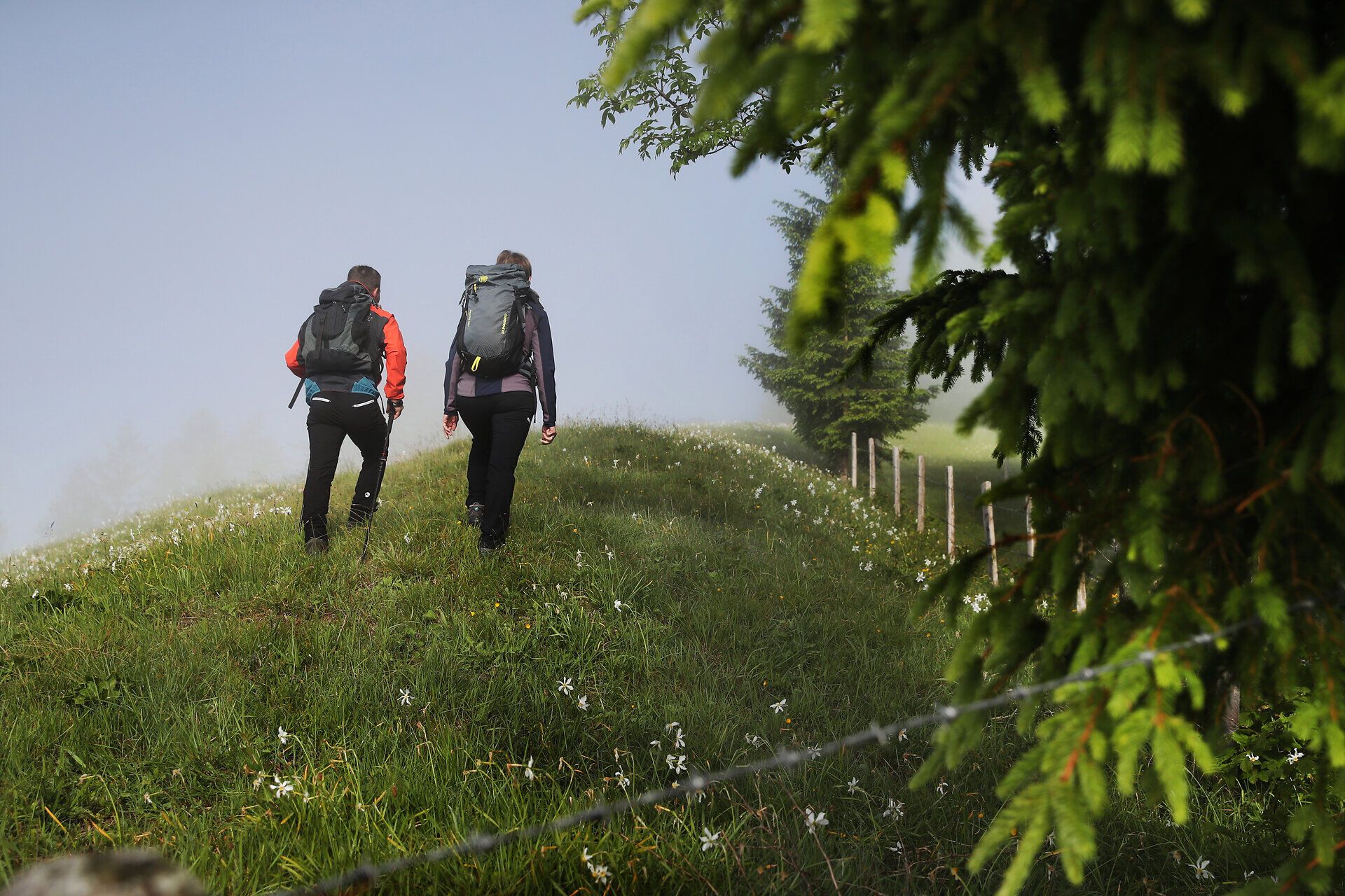 Pilgergruppe wandert entlang eines Hügelrückens.
