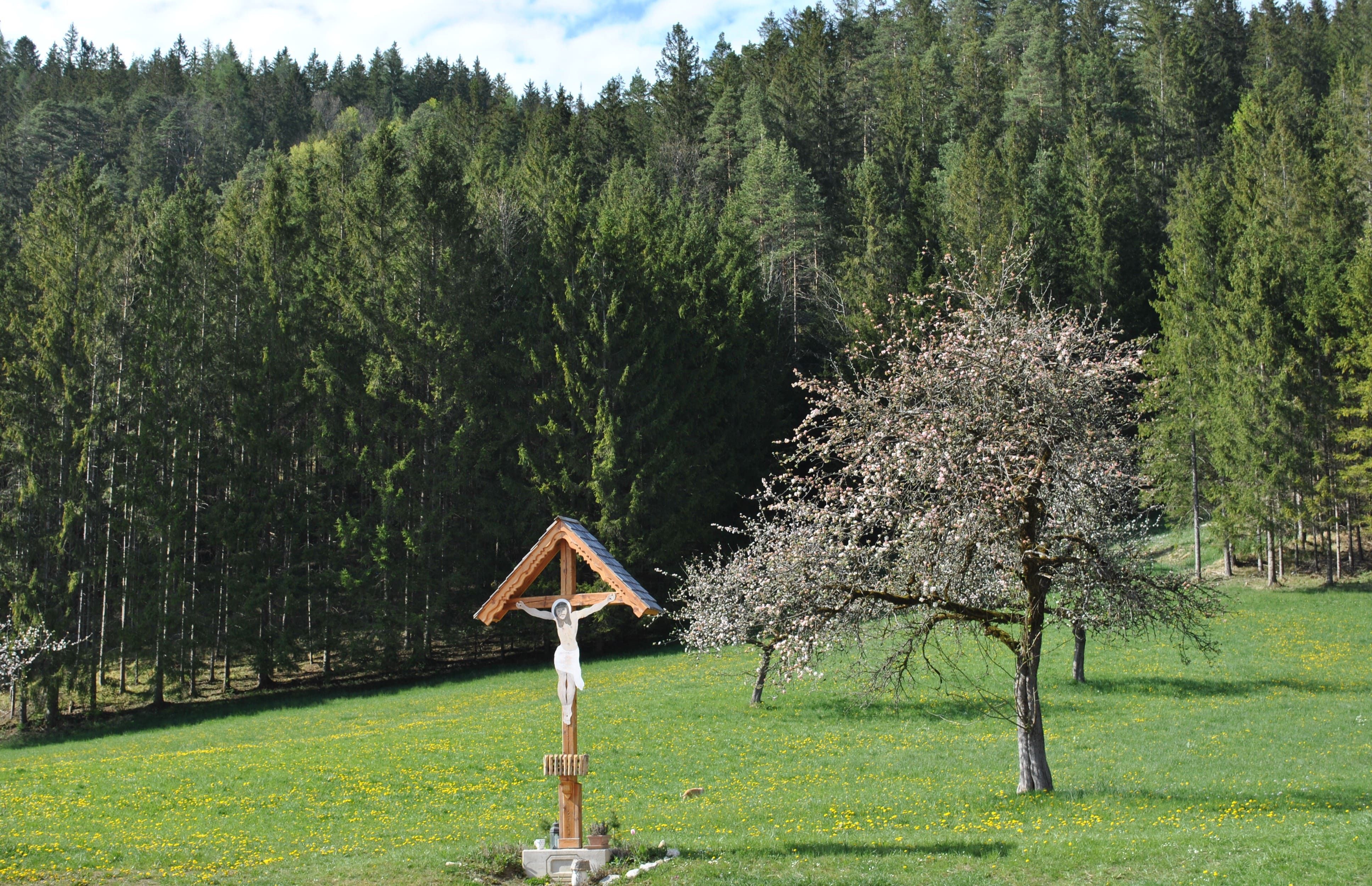 Landschaft hinter dem Haus