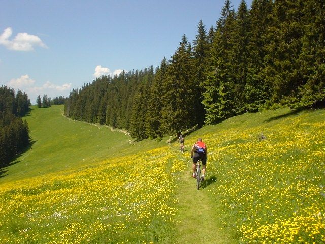 MTB Mostviertel