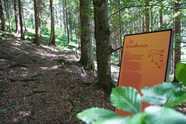 Geschichtenweg Lackenhof - Tut Gut Route 1