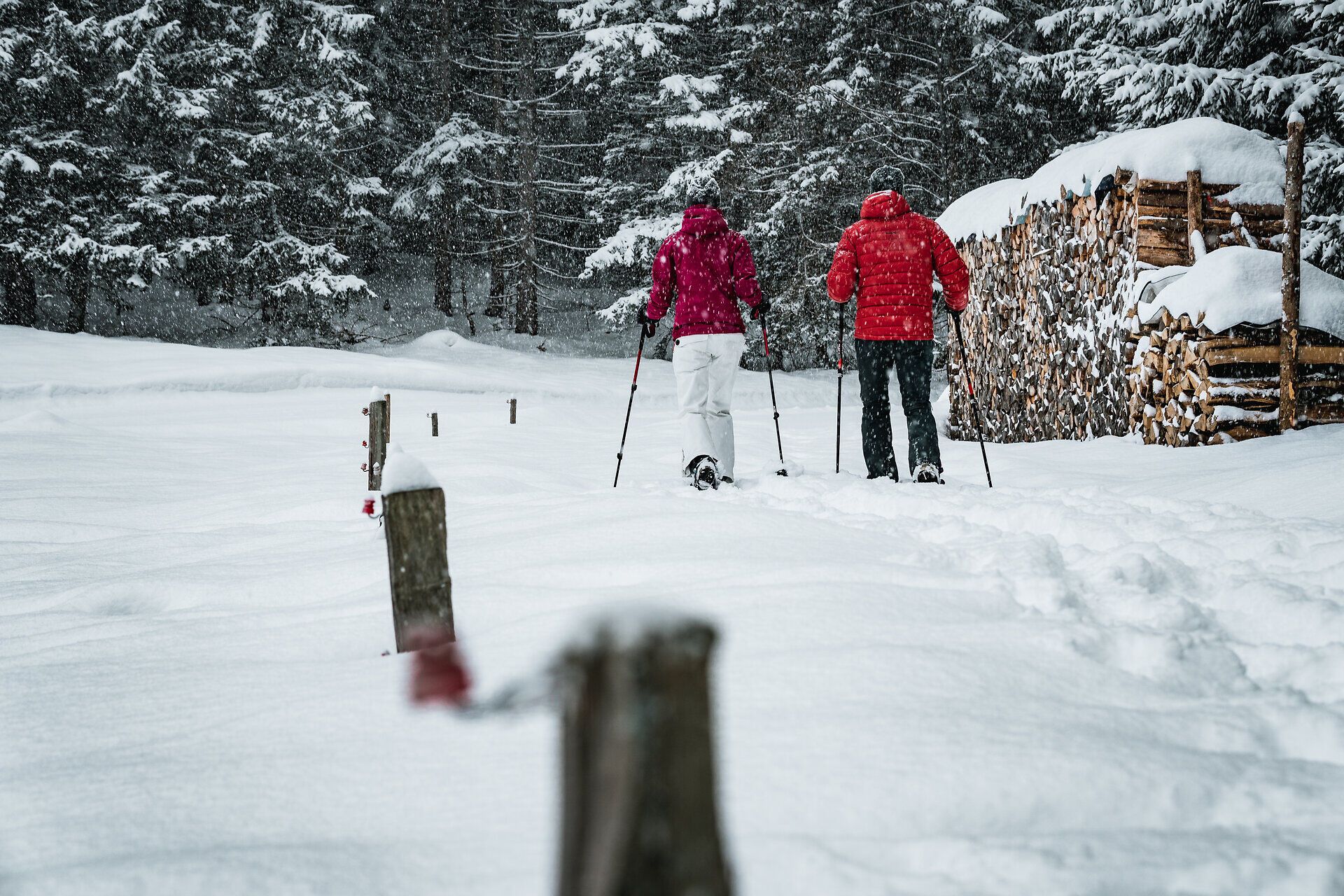 In der winterlichen Stille der Ybbstaler Alpen gleiten zwei Wanderer mit Schneeschuhen durch den frischen, unberührten Schnee. Die schneebedeckten Bäume um sie herum schaffen eine magische Atmosphäre, während der sanfte Schneefall die Landschaft in ein traumhaftes Weiß hüllt.