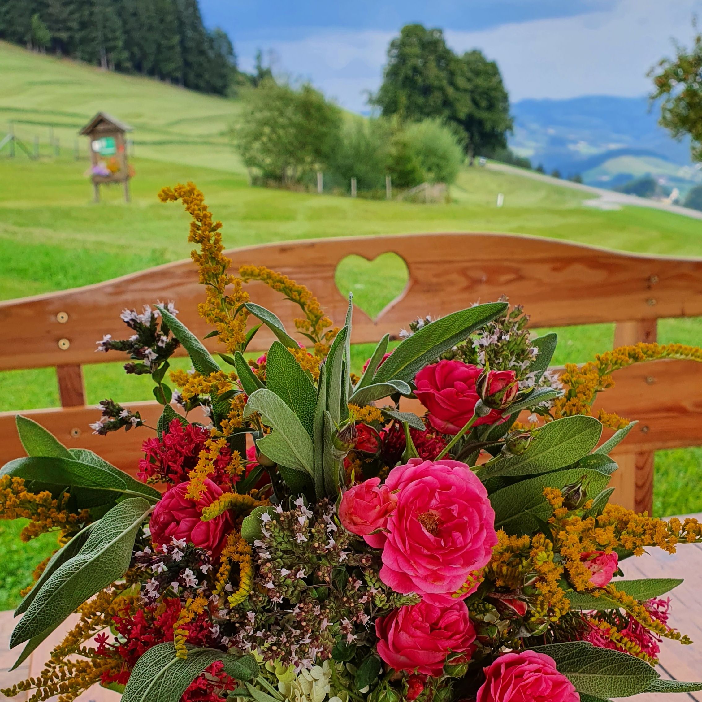 Ausblick von der Hausbank