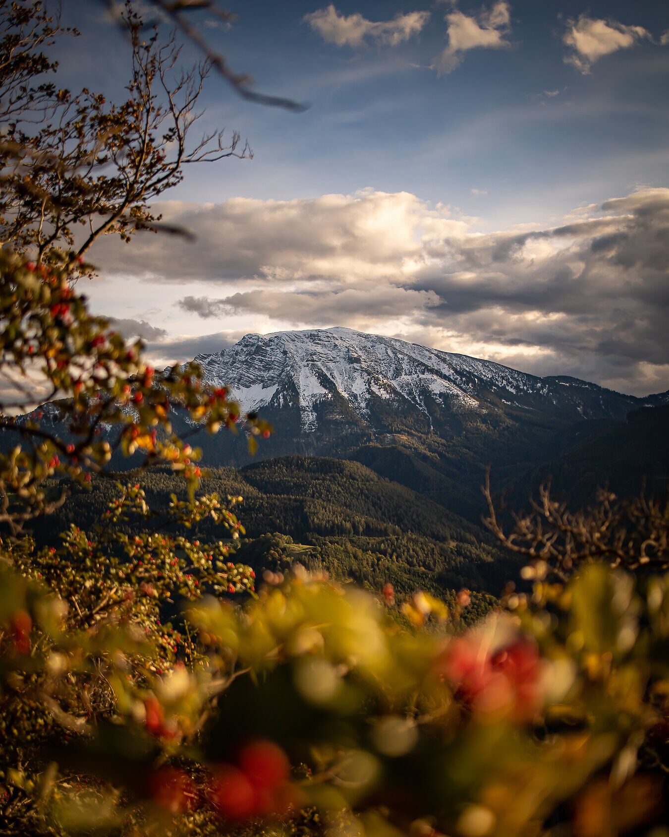 Die majestätischen Gipfel des Ötschers erheben sich stolz über die herbstlichen Wälder, während die letzten Sonnenstrahlen die schneebedeckten Höhen sanft erleuchten. Ein Paradies der Blicke, wo die Farben des Herbstes in harmonischem Zusammenspiel mit der Natur erstrahlen und Wanderer zu unvergesslichen Erlebnissen einladen.