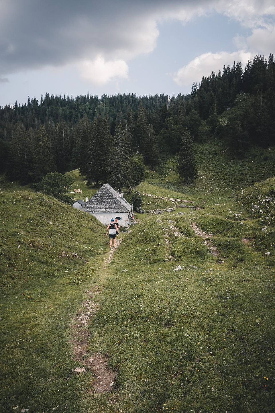 Ostalpin-Trail Hochkar - Lackenhof