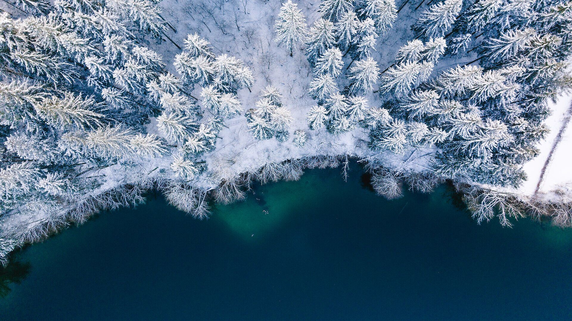 Die winterliche Landschaft verzaubert mit einer schimmernden Schneedecke, die die majestätischen Bäume um den See in ein traumhaftes Weiß hüllt. Das ruhige Wasser spiegelt die verschneiten Gipfel wider und lädt zu einem besinnlichen Spaziergang in der Natur ein.