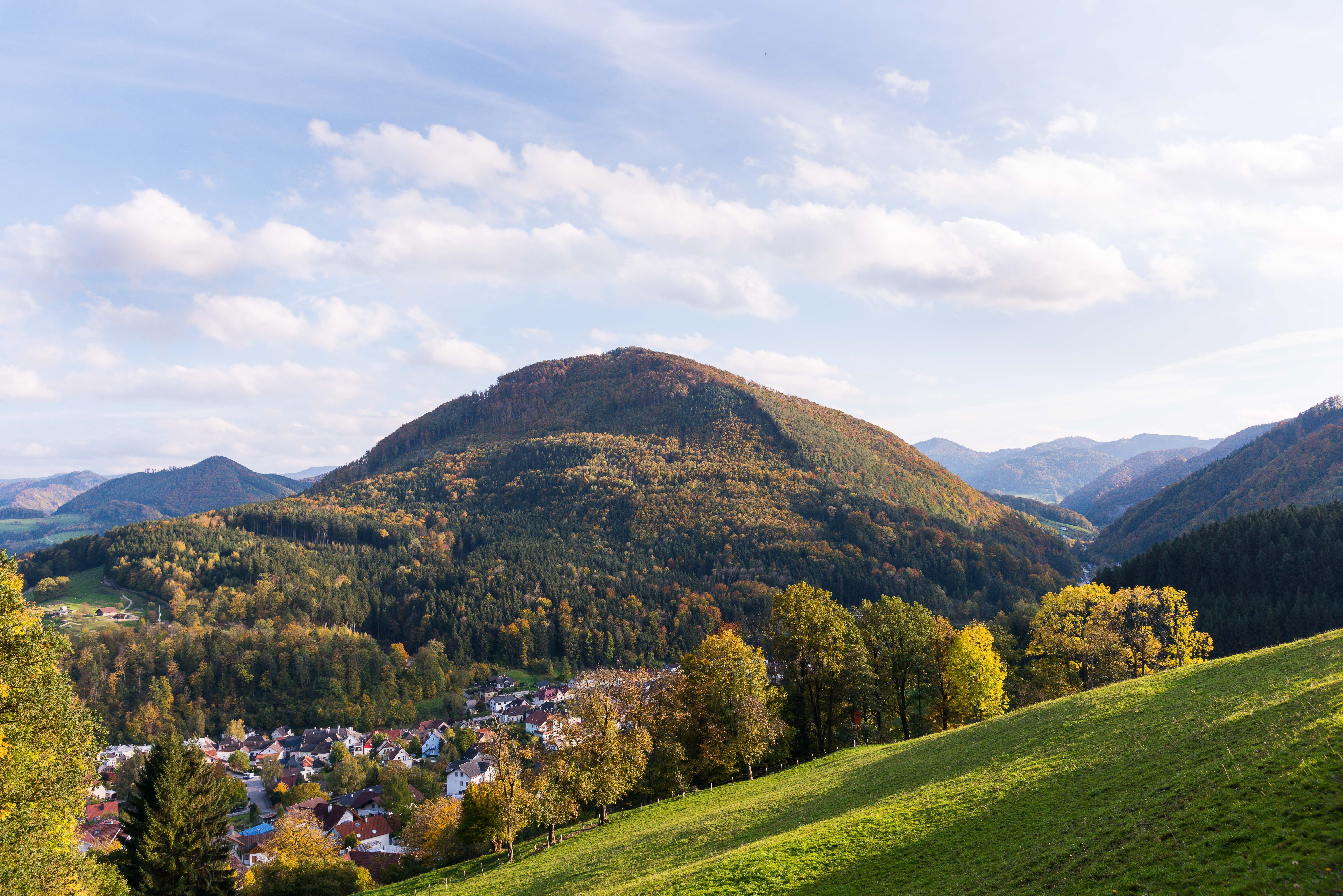 Buchenberg