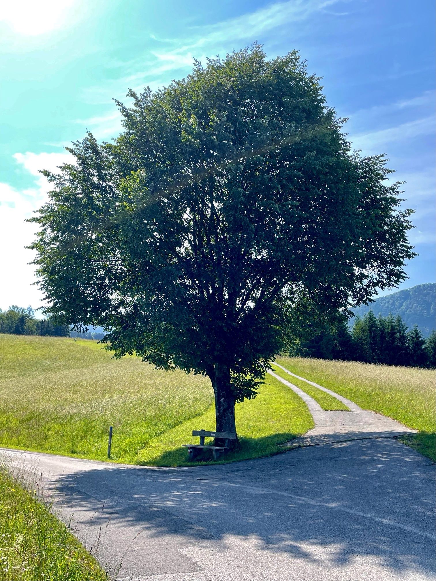 Grabenrundweg Opponitz