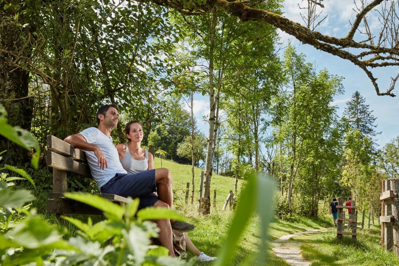 Erfrischender Bergsommer am Lunzer See