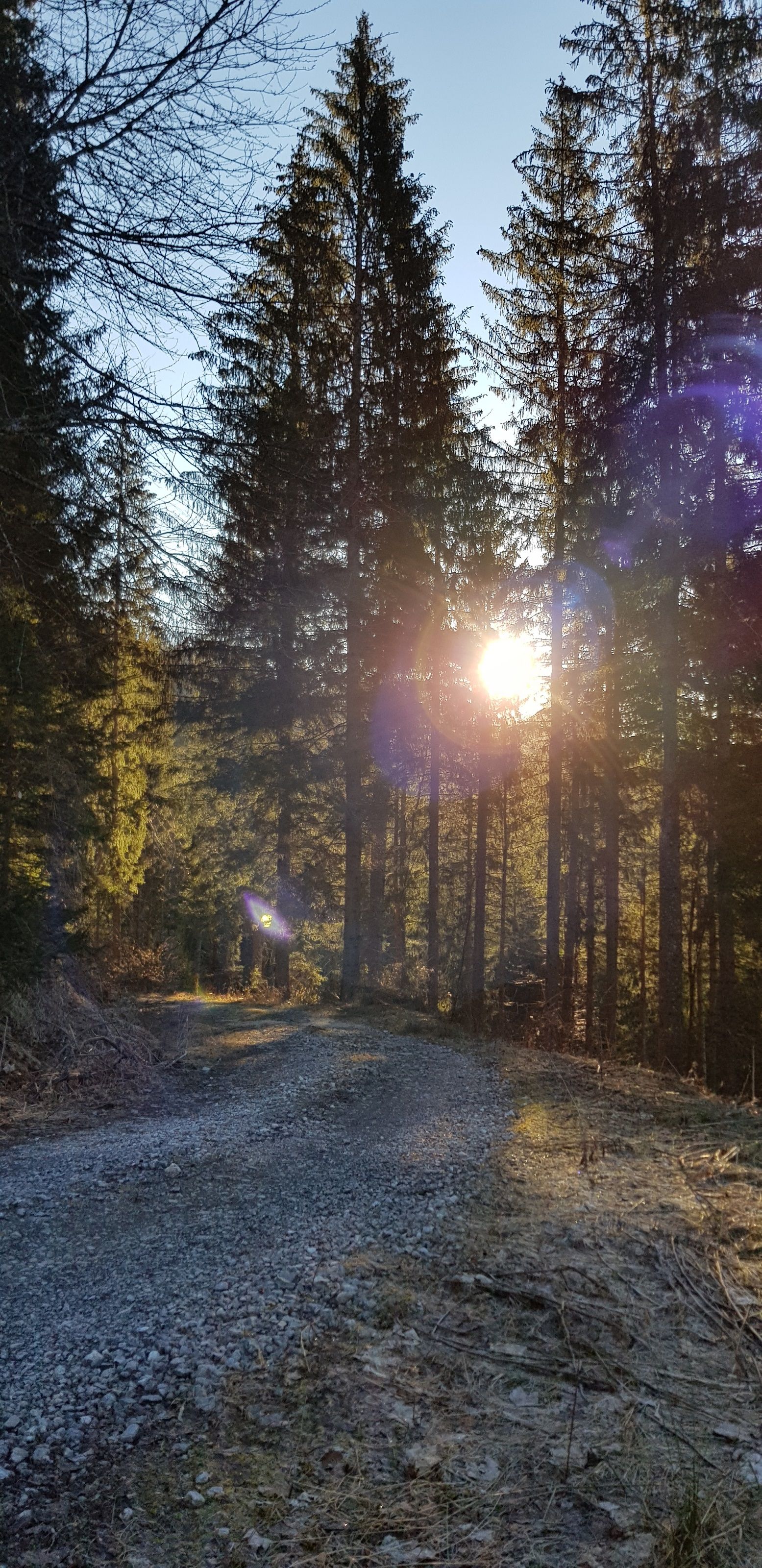 Sonnenaufgang