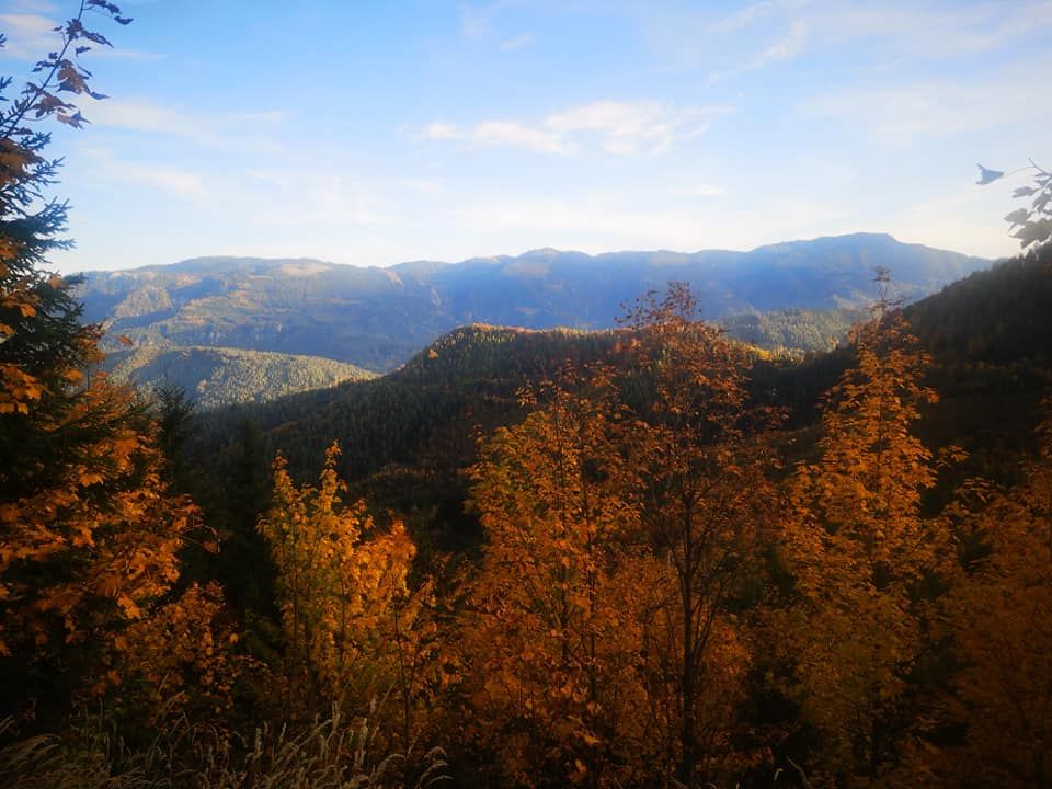 die Ybbstaler Alpen