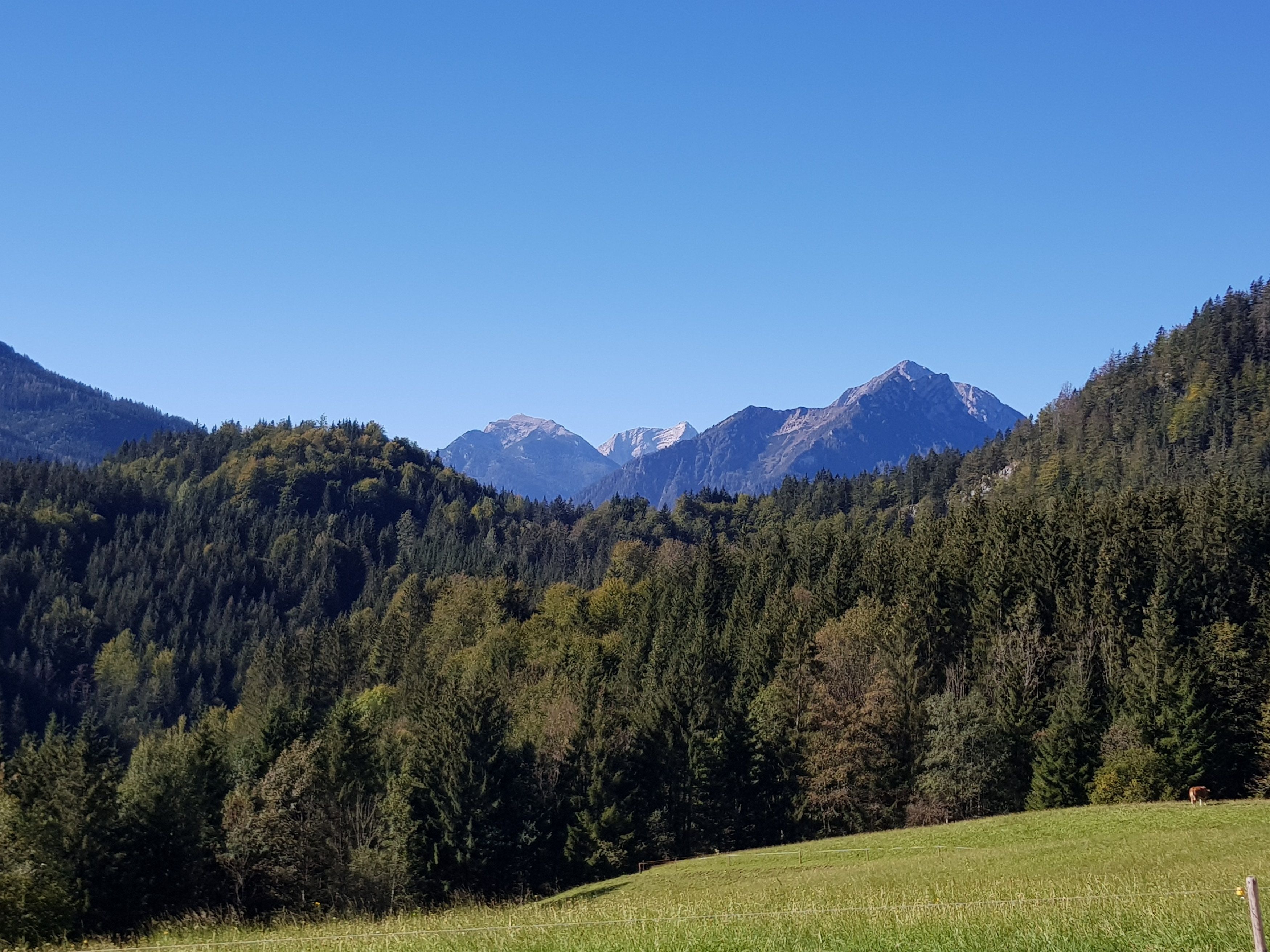 Sommer
