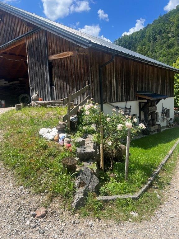 Waldsein