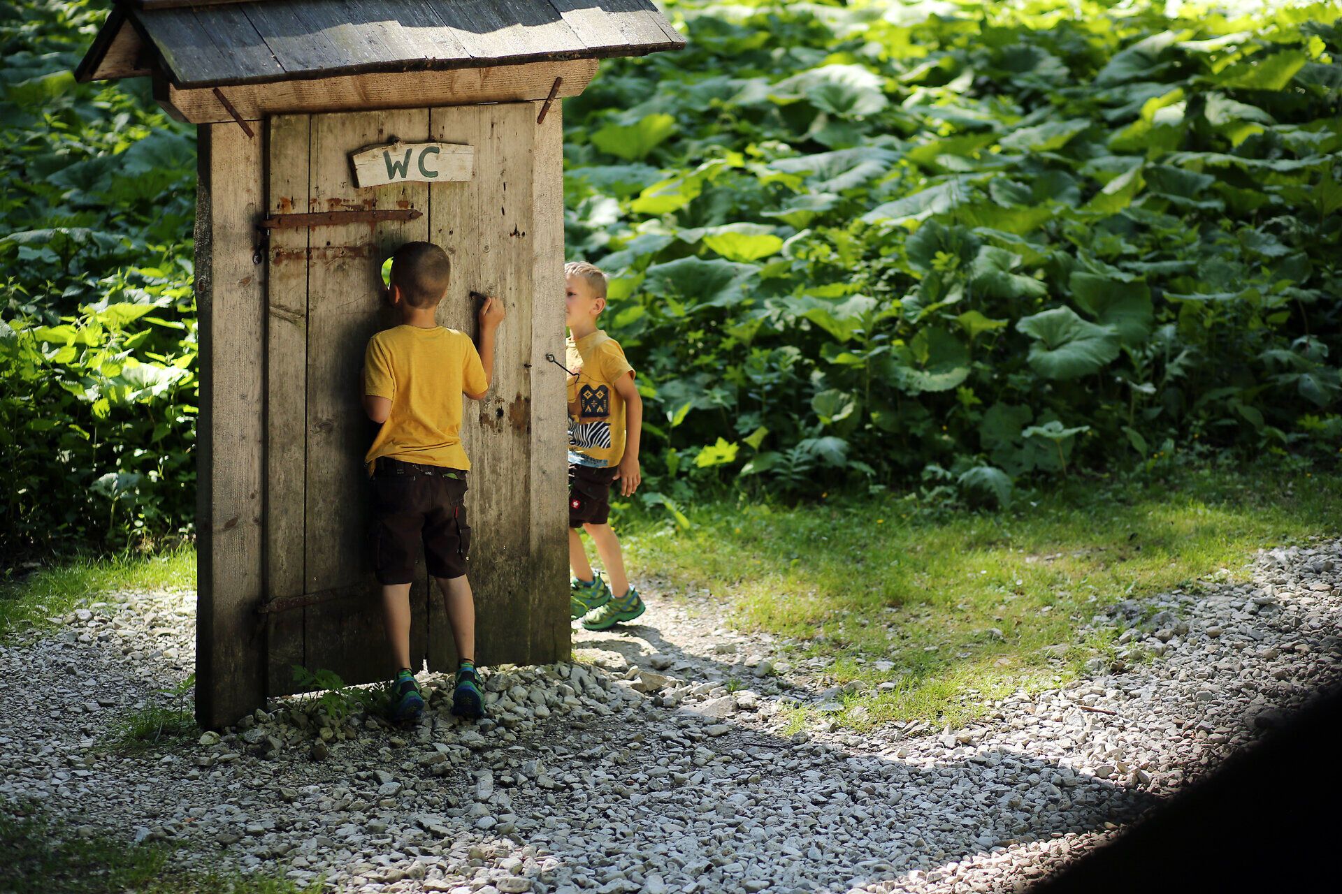 Zwei fröhliche Kinder erkunden neugierig eine rustikale Holztür, die den Zugang zu einem geheimnisvollen Ort verspricht. Umgeben von üppigem Grün und der sanften Ruhe der Natur, spüren sie die Abenteuerlust, die in der Luft liegt. Ein perfekter Moment für Familien, um die Schönheit der Natur zu genießen und unvergessliche Erinnerungen zu schaffen.