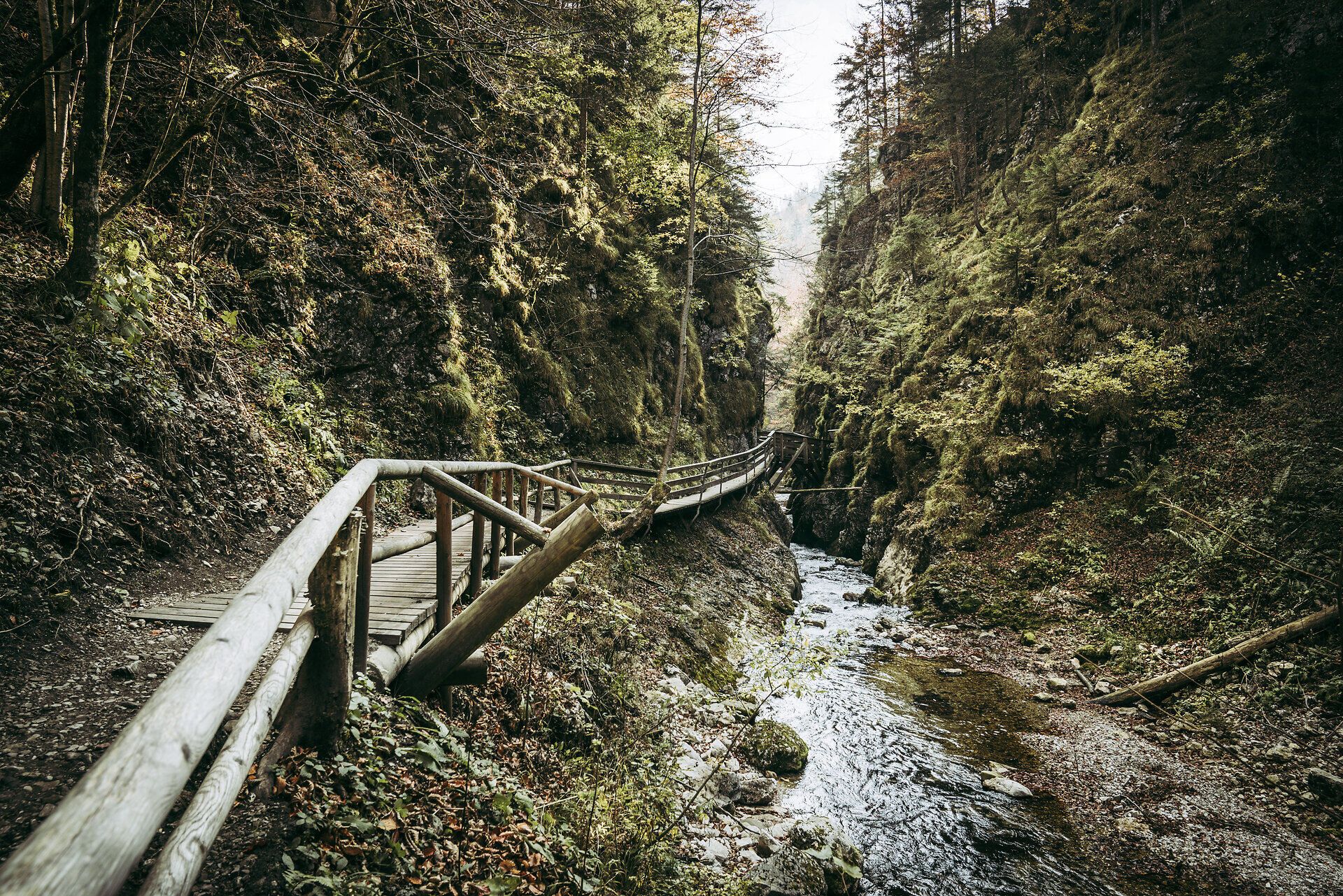 Ein malerischer Wanderweg schlängelt sich durch die grüne Schlucht, umgeben von hohen, bewaldeten Hängen. Das sanfte Plätschern des klaren Wassers begleitet die Wanderer auf ihrem Weg und lädt dazu ein, die Schönheit der Natur in vollen Zügen zu genießen.