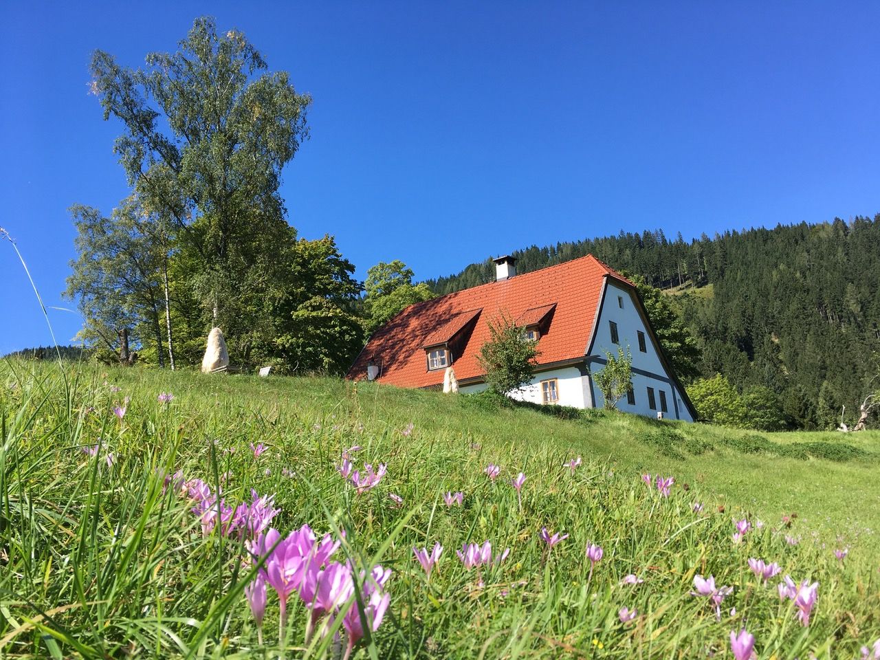 Ferienhaus Hinterbreiteneben