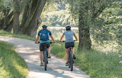 Zwei Radfahrende auf einem Radweg, der von Bäumen gesäumt ist.