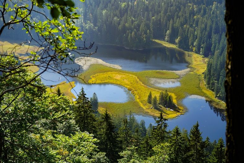 Blick zum Obersee