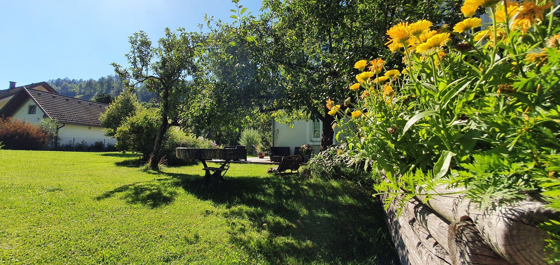 der weitläufige Garten im Sommer