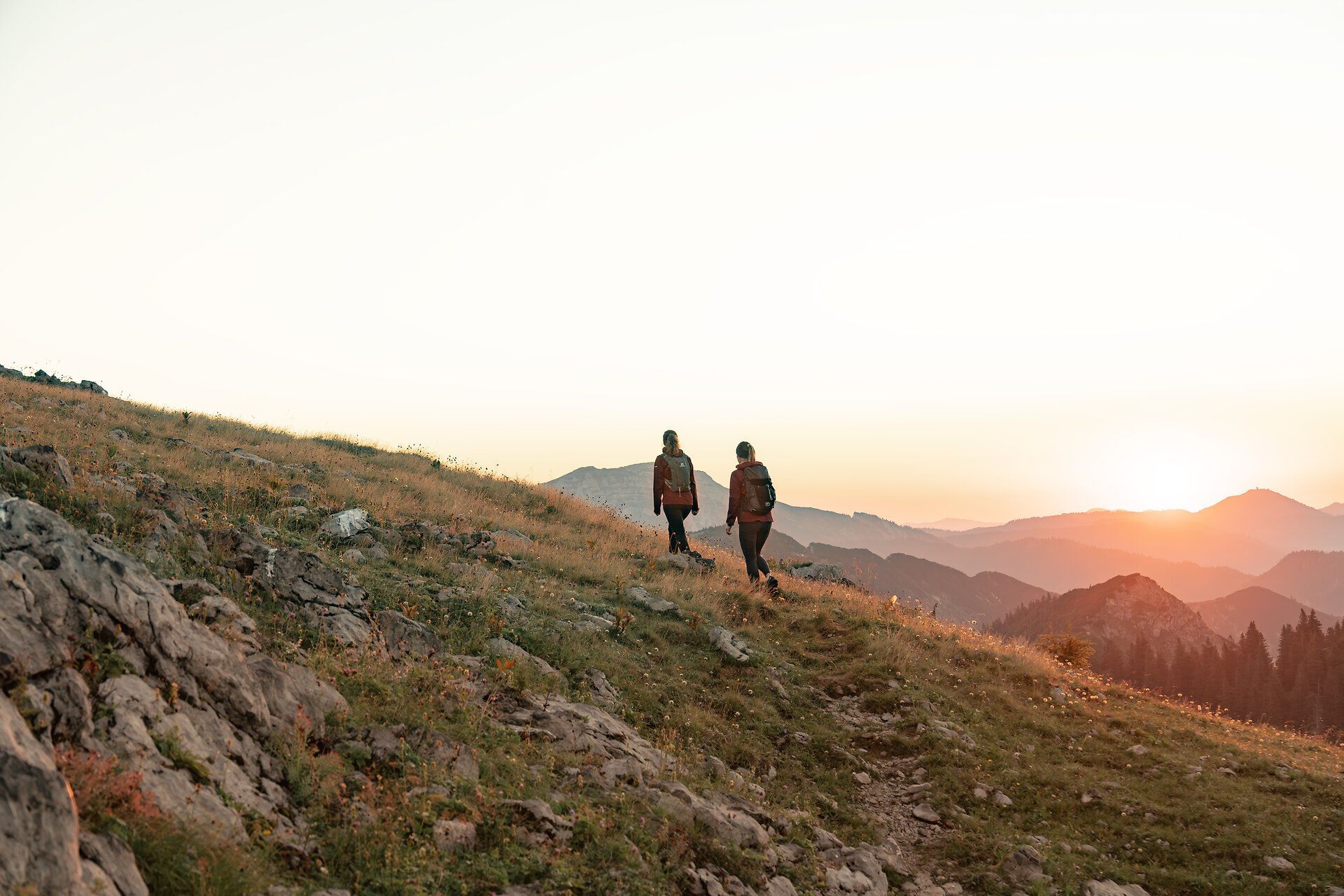 Die sanften Hügel der Ybbstaler Alpen erstrahlen im warmen Licht des Sonnenaufgangs, während zwei Wanderer den Pfad entlang schreiten. Umgeben von einer atemberaubenden Landschaft, die mit bunten Wildblumen und dem sanften Rascheln des Grases geschmückt ist, erleben sie die Ruhe und Schönheit der Natur.