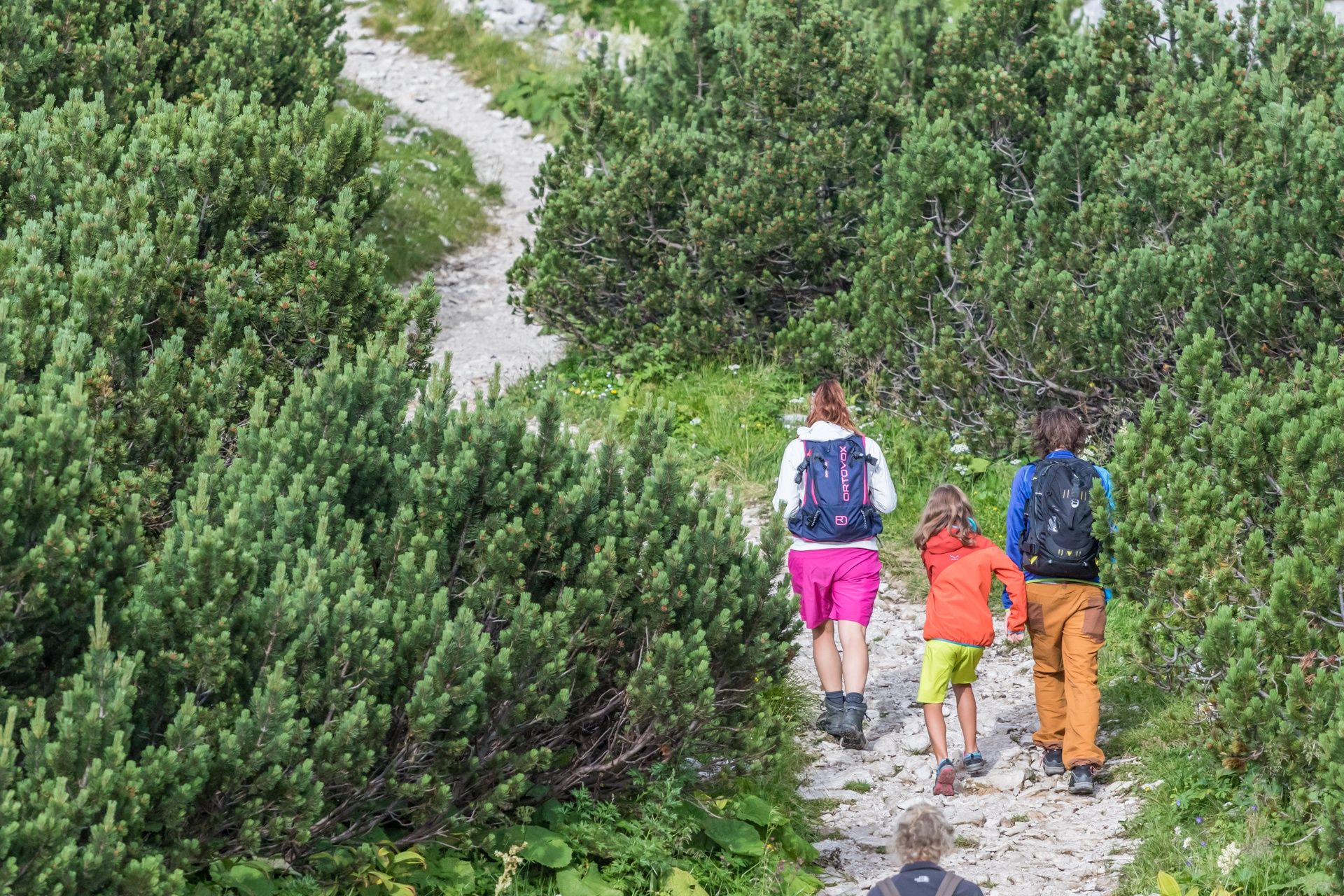 Wanderweg Hochkar