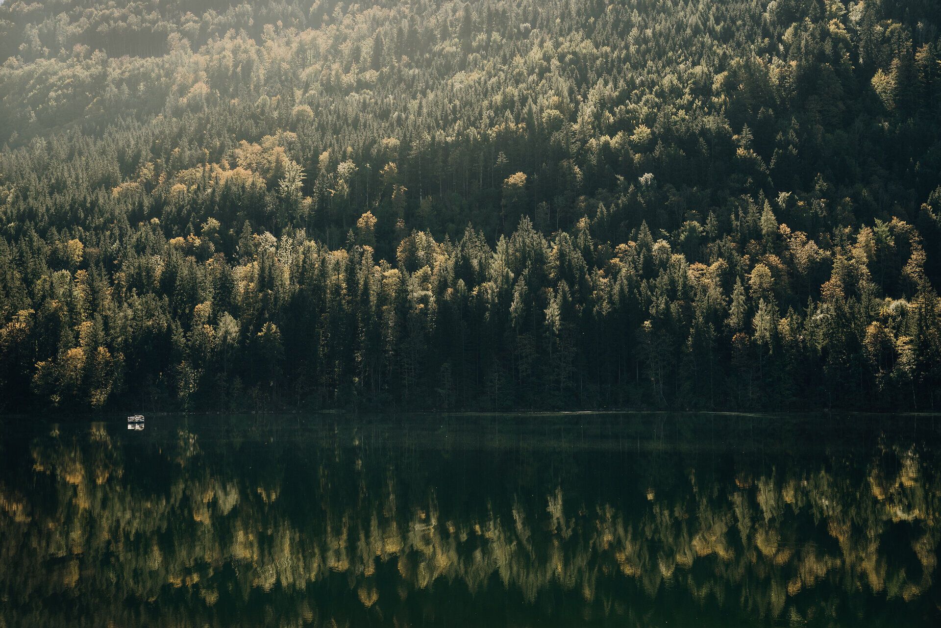 Die sanften Hügel der Ybbstaler Alpen umarmen den glitzernden Obersee, während die warmen Sonnenstrahlen durch das dichte Blätterdach der Bäume tanzen. Hier, wo die Natur in voller Pracht erblüht, lädt die ruhige Atmosphäre zum Verweilen und Entspannen ein.