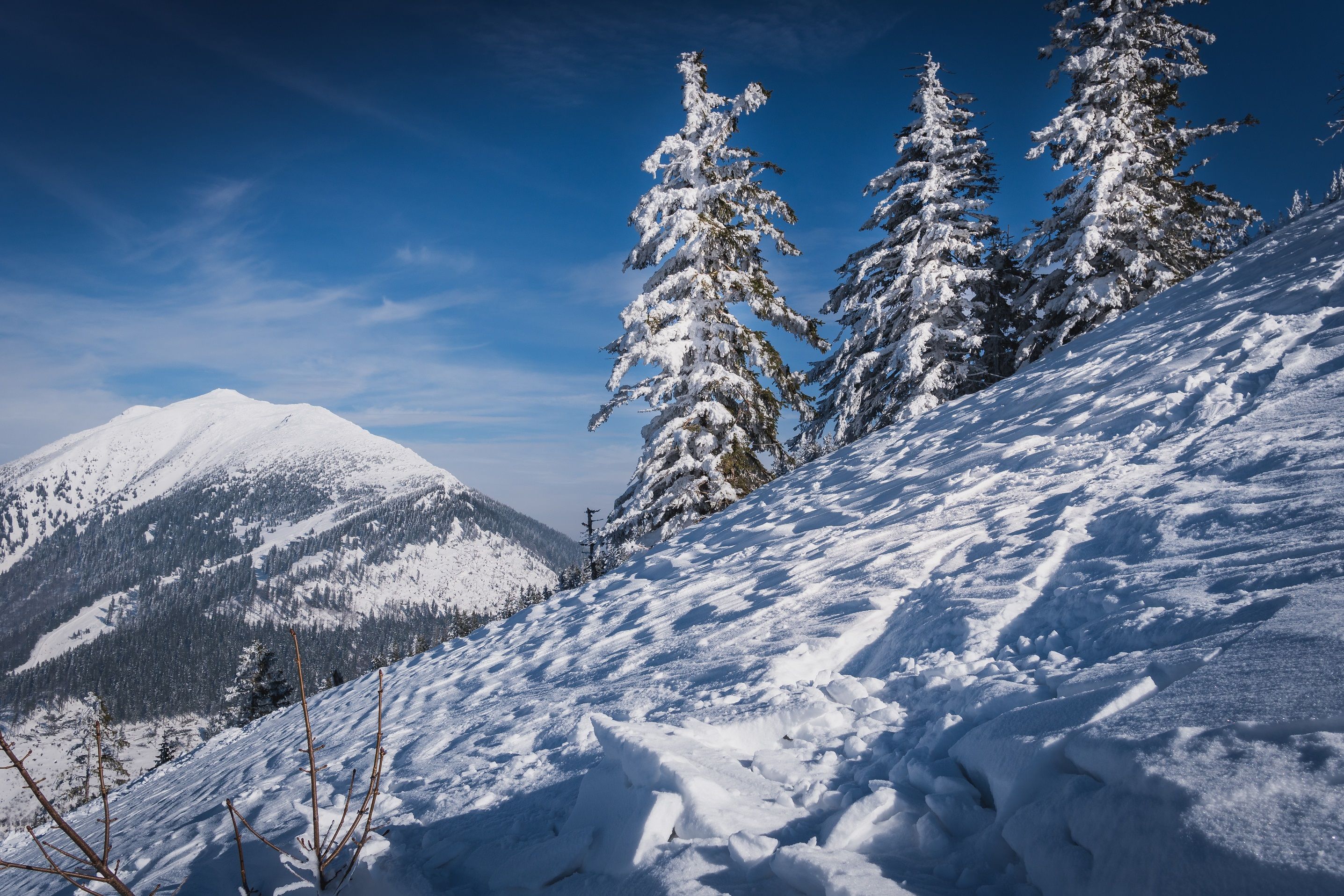 Winterstimmung