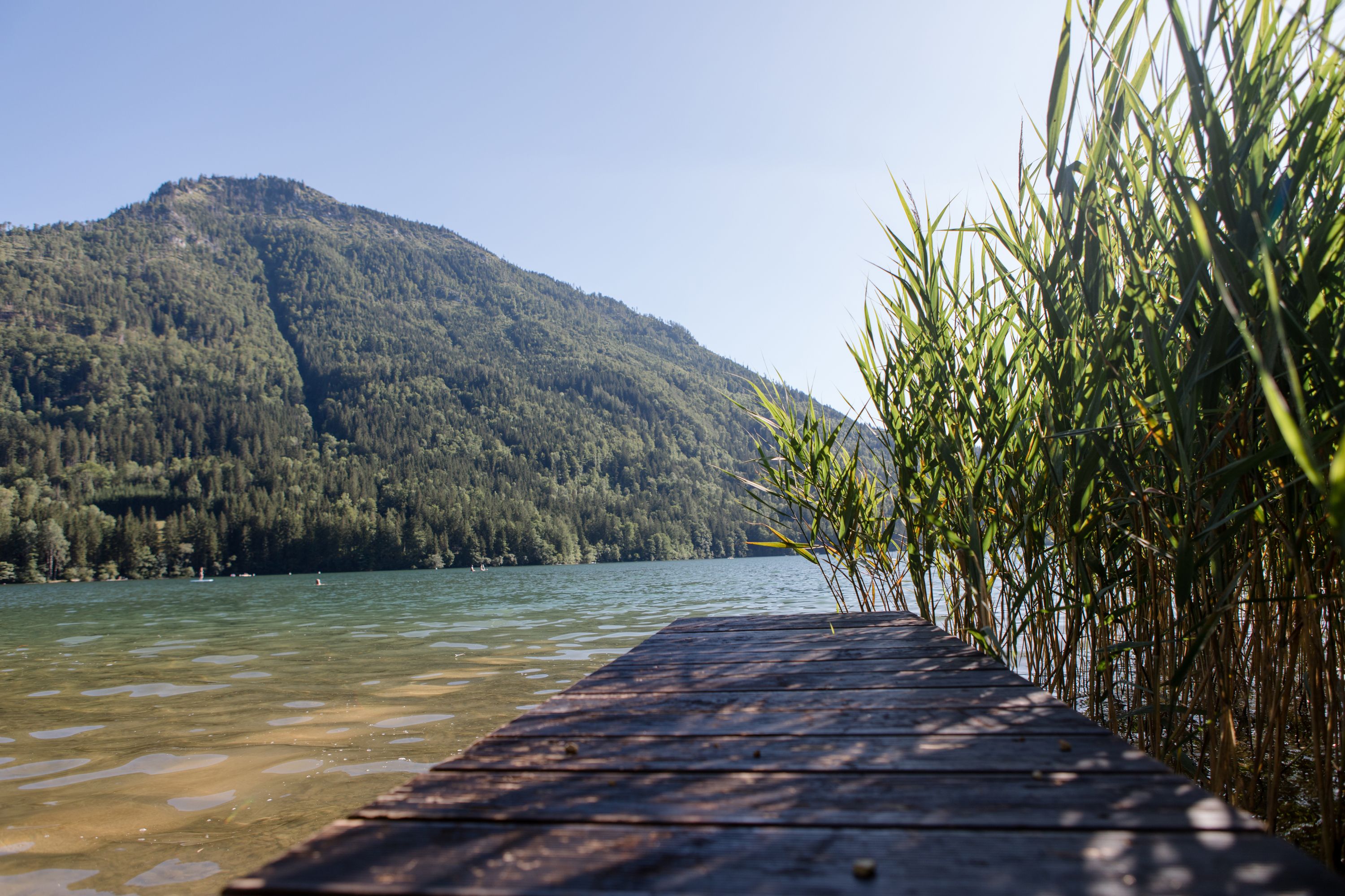 Ein Holzsteg führt zu einem See mit Schilf am Ufer und einem bewaldeten Berg im Hintergrund.