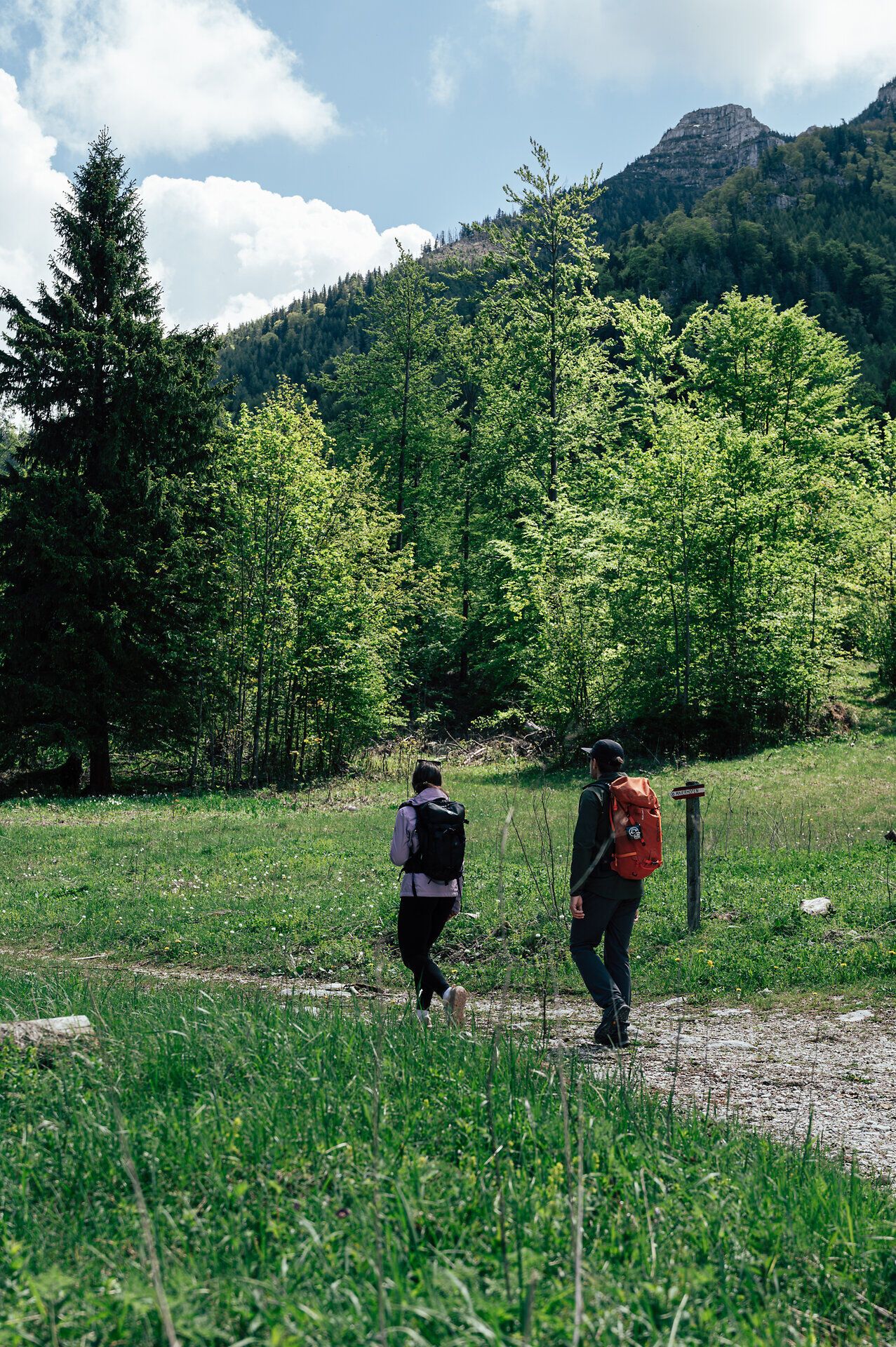 Zwei Personen wandern am Luchs Trail bei Lackenhof am Ötscher 