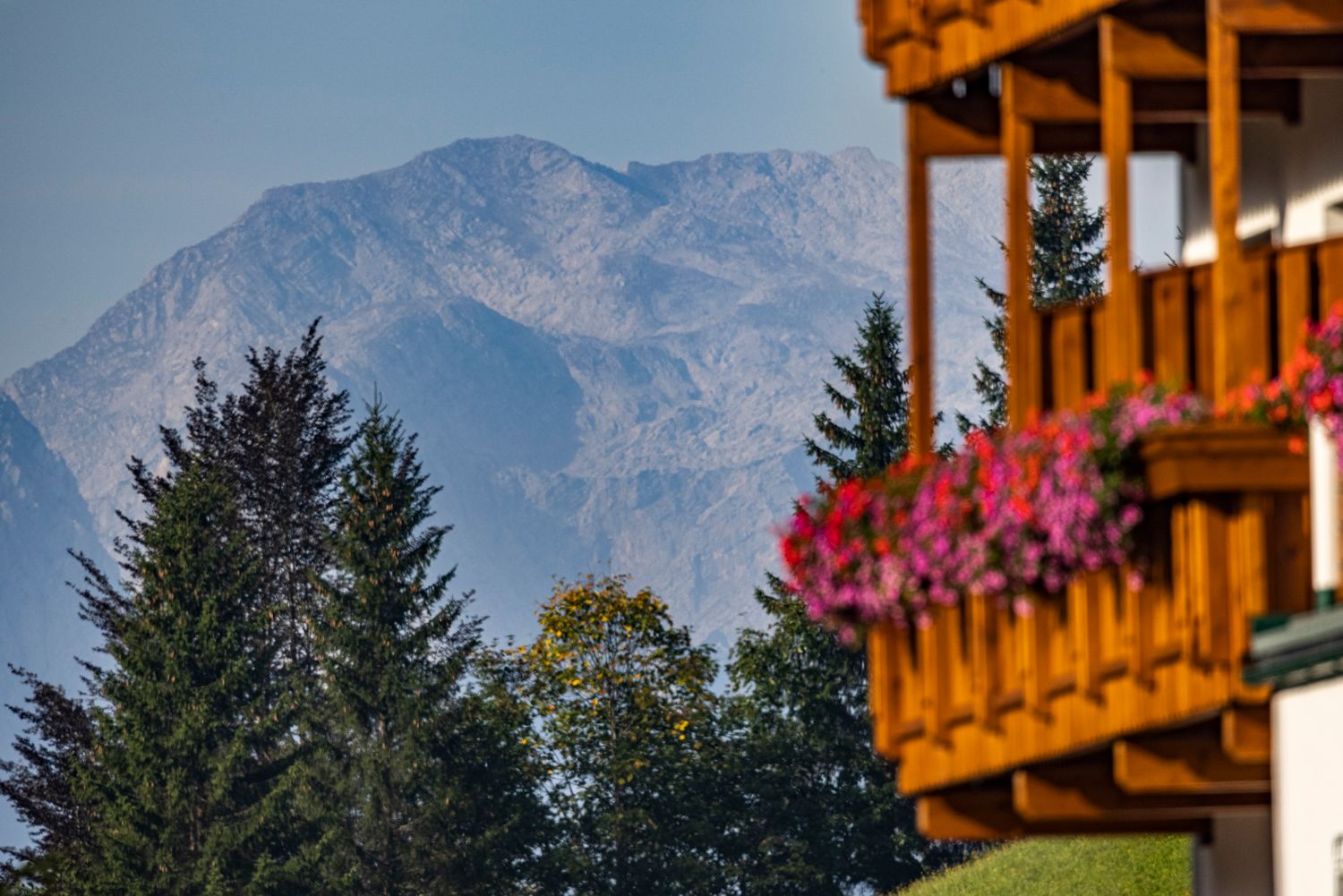 Alpenhotel Ensmann