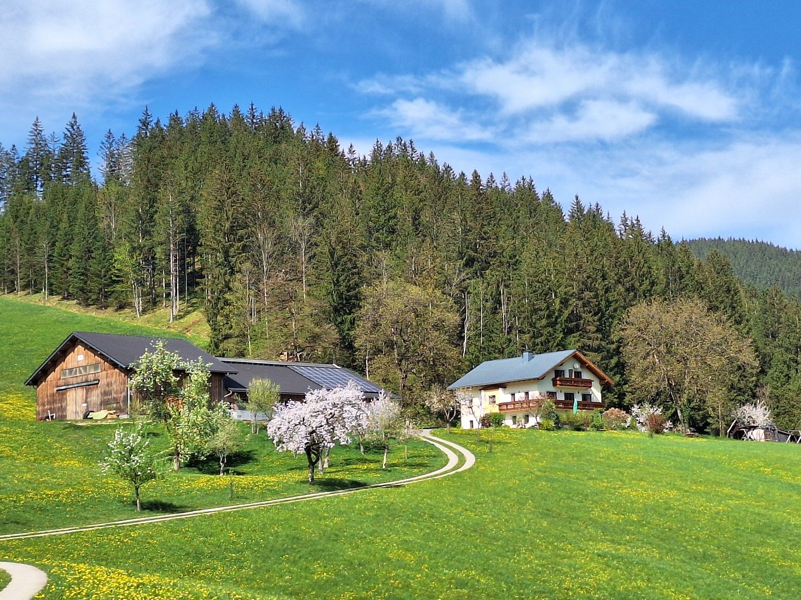 Biobauernhof Poidlbauer