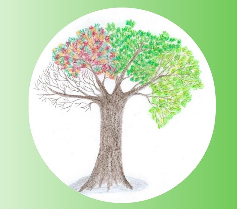 Waldsein.at Logo