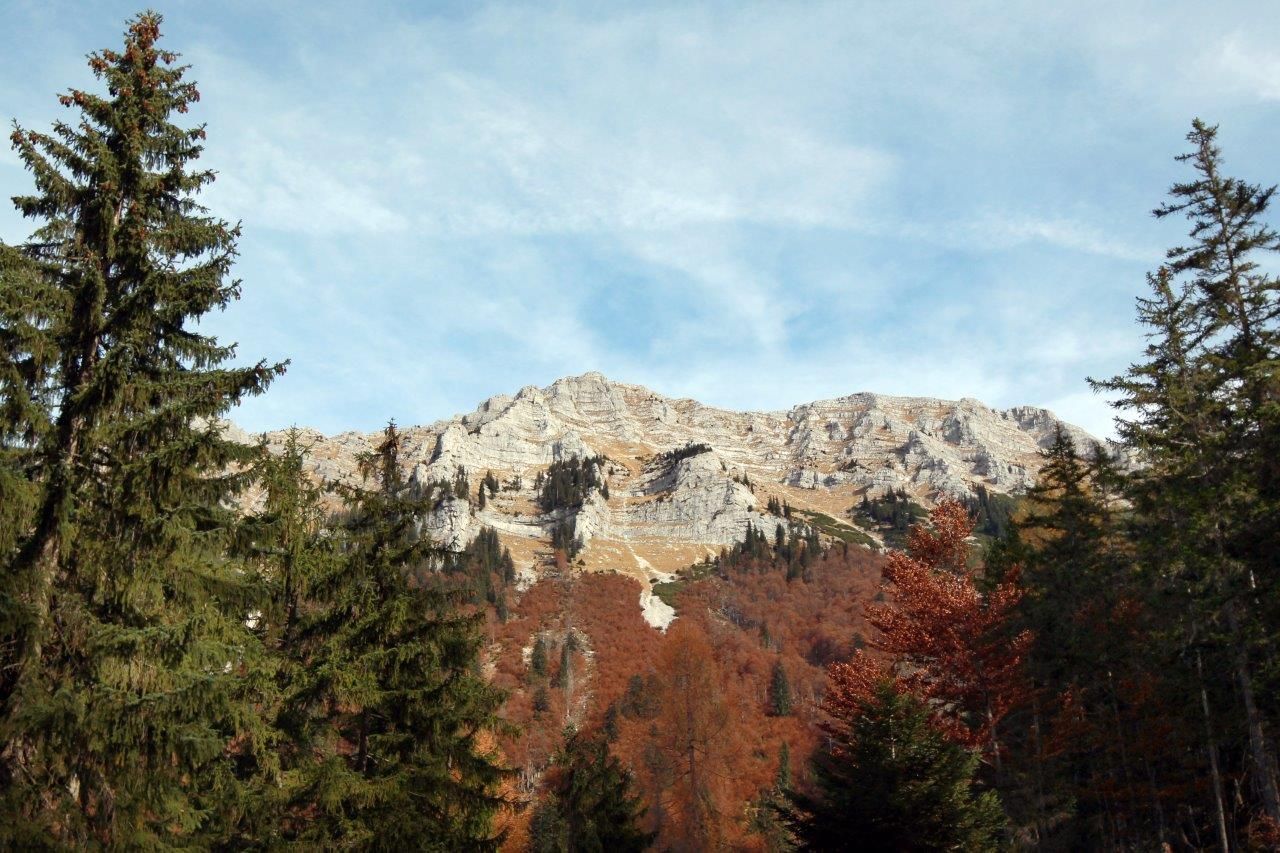 Berglandschaft mit dem Dürrenstein im Hintergrund, umgeben von Nadelbäumen und herbstlich gefärbtem Laub.