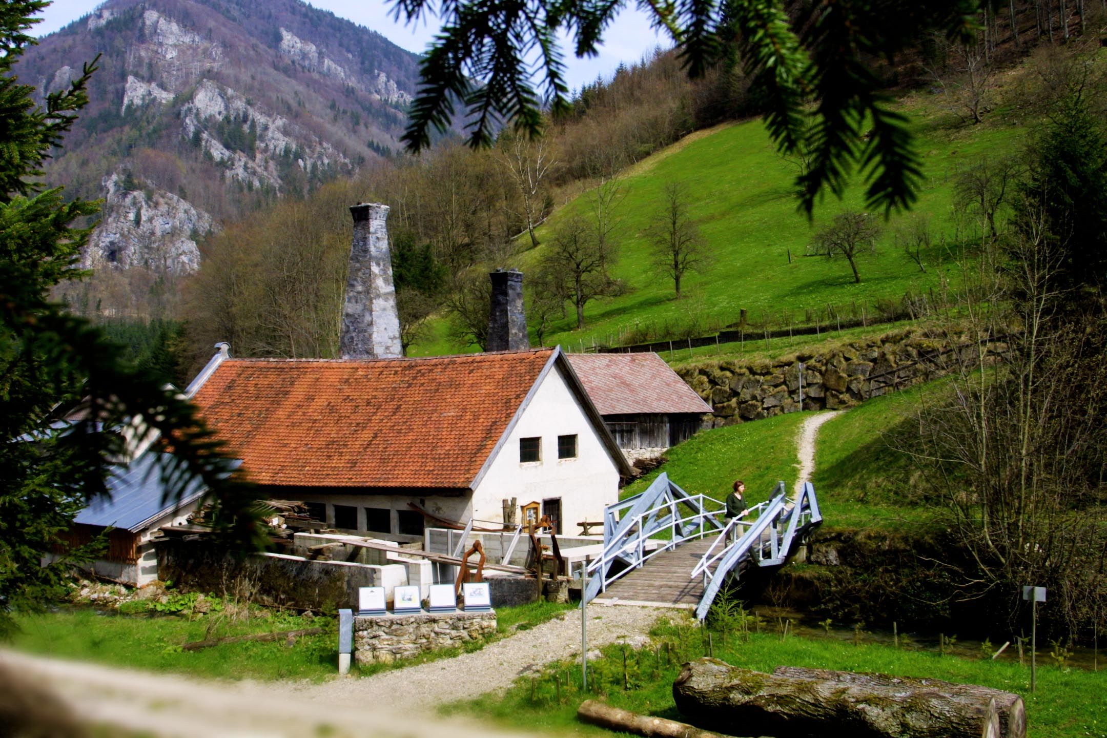 Ansicht-Einoed-Hammer