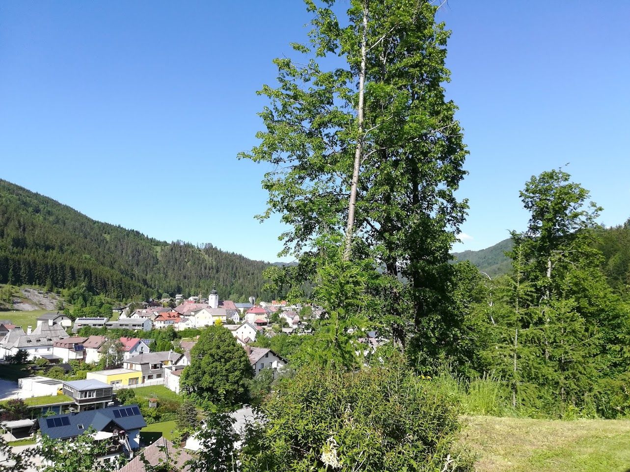 Aussicht vom Haus