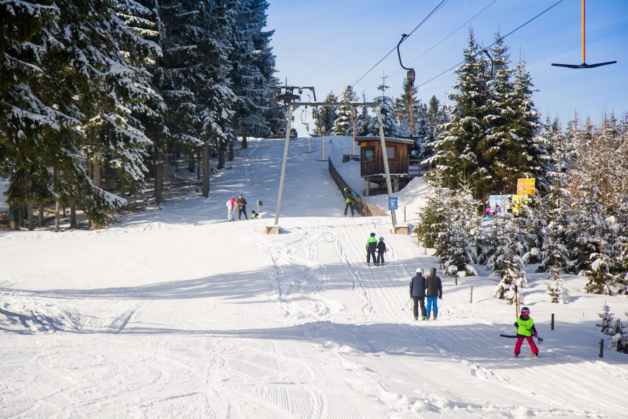 Forsteralm