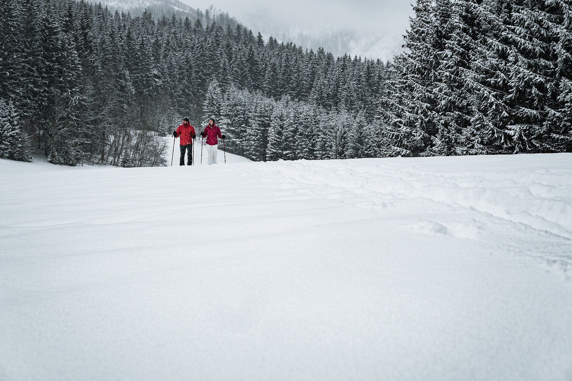 In der winterlichen Stille der Ybbstaler Alpen gleiten zwei Wanderer durch den unberührten Schnee. Die schneebedeckten Bäume um sie herum schaffen eine märchenhafte Kulisse, während die frische Bergluft die Sinne belebt. Ein unvergessliches Erlebnis abseits der Pisten, das die Schönheit der Natur in ihrer reinsten Form zeigt.