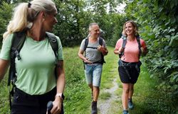 Pilgergruppe hat Spaß entlang des Pilgerwegs.
