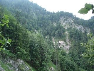 Töpperbrücke - Stiegengraben - Ybbstalerhütte - Lechnergraben - Töpperbrücke